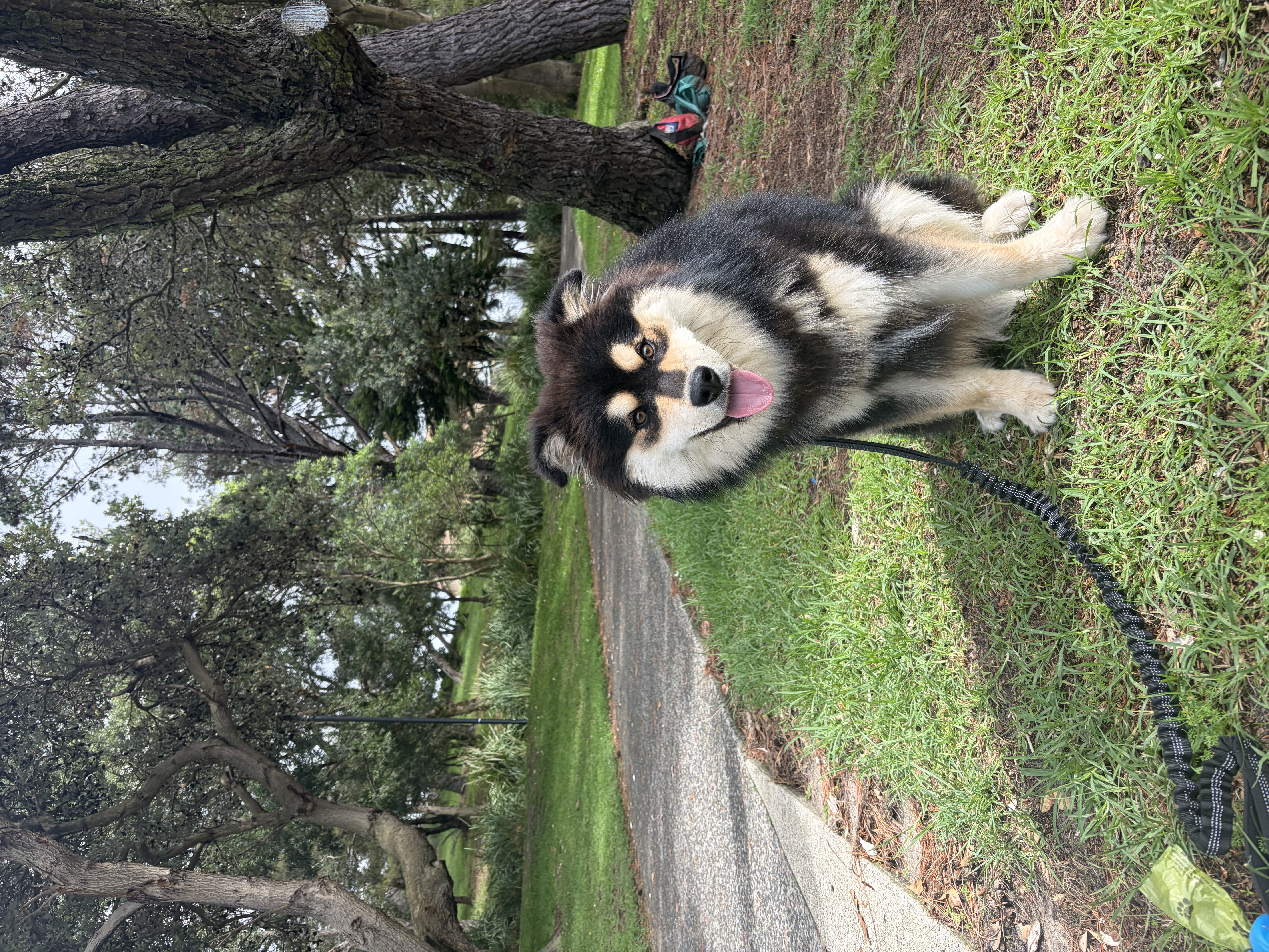 image-4