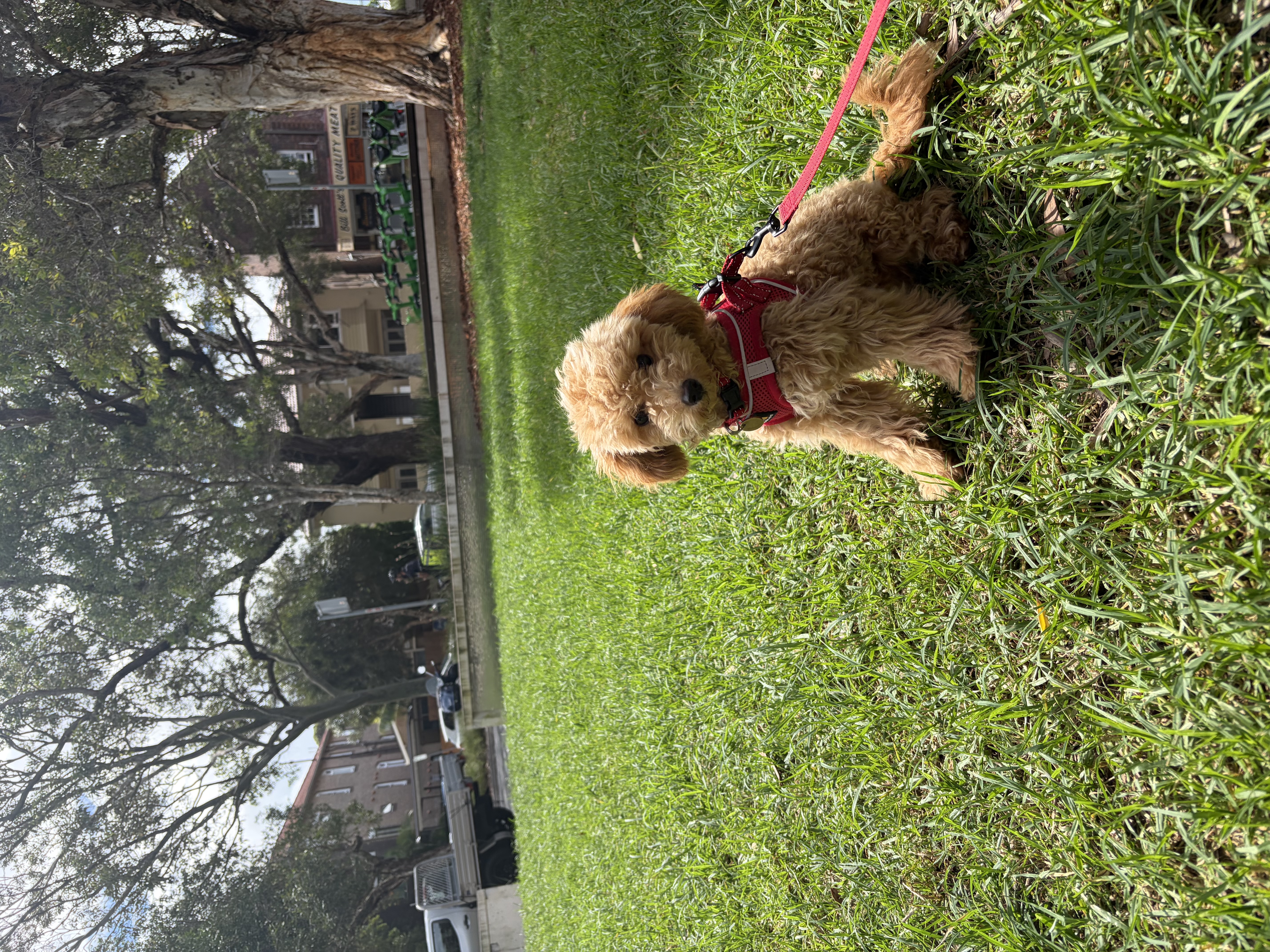 image-17
