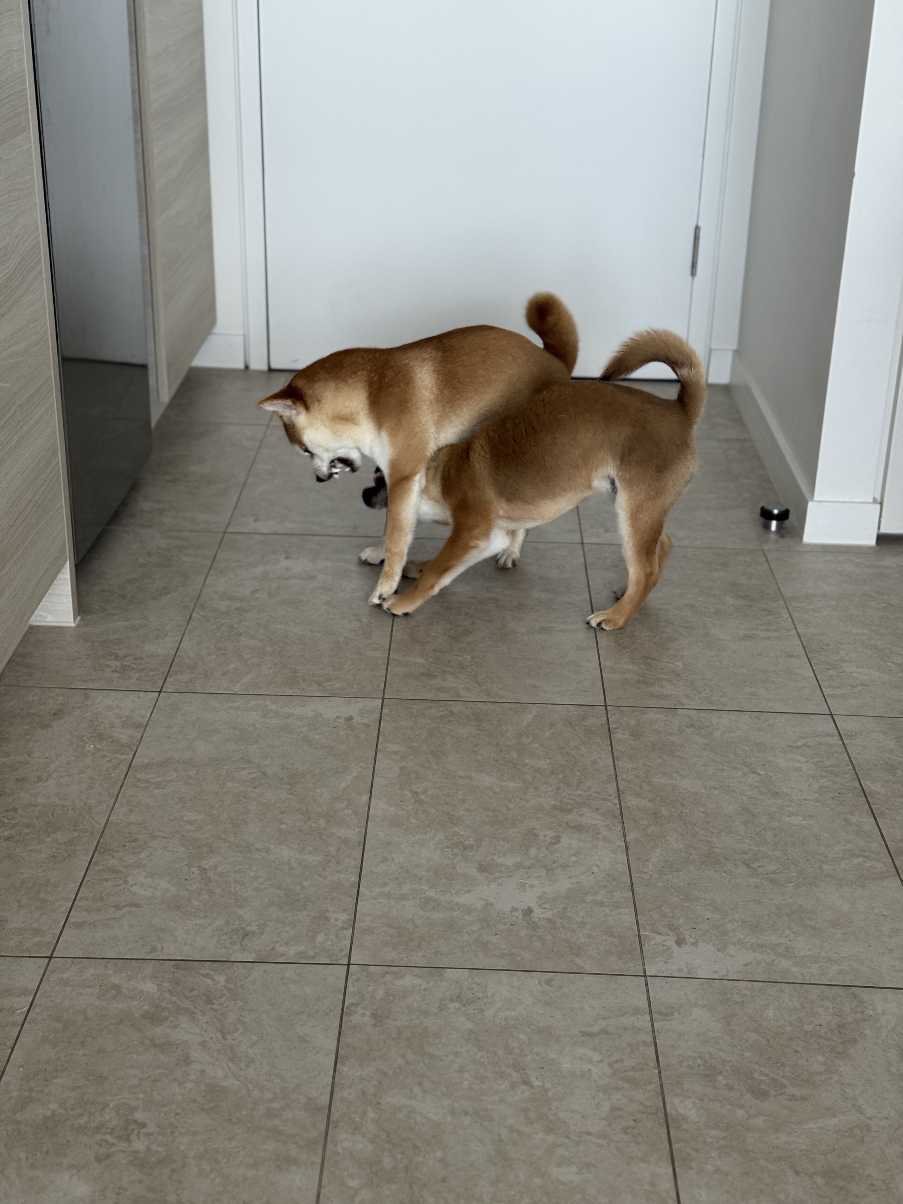 image-34