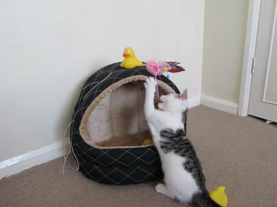 image-40