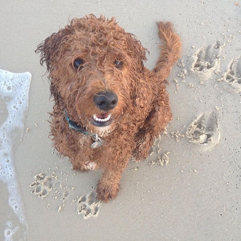 rusty