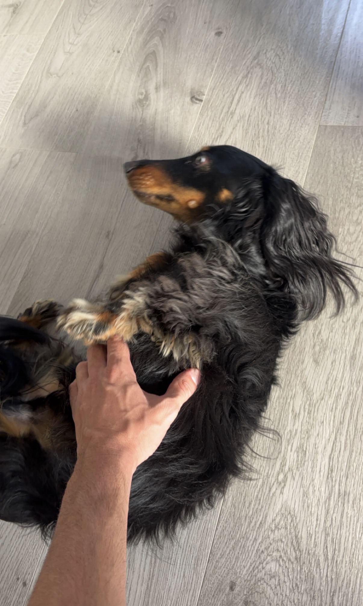 image-9