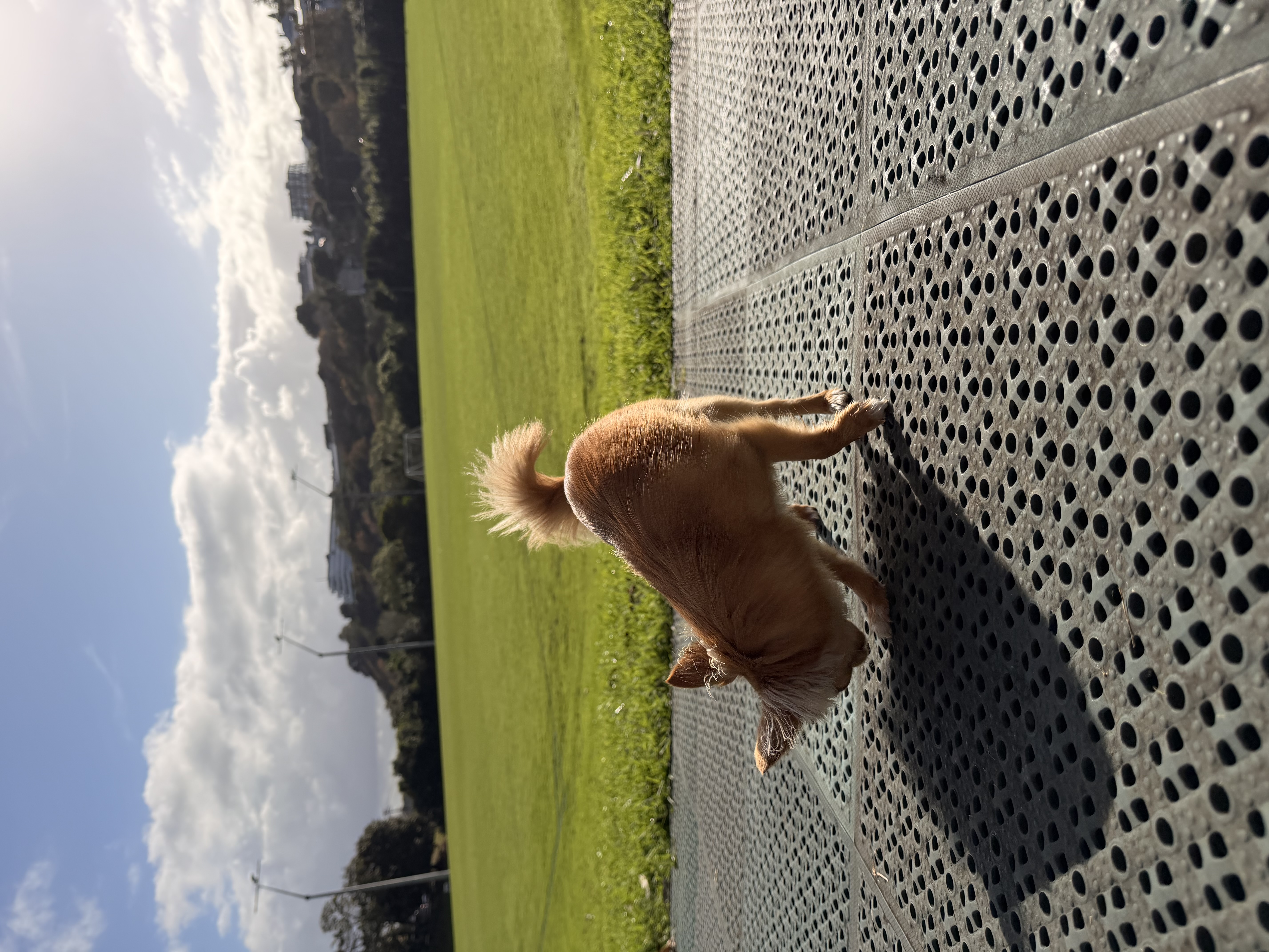 image-15