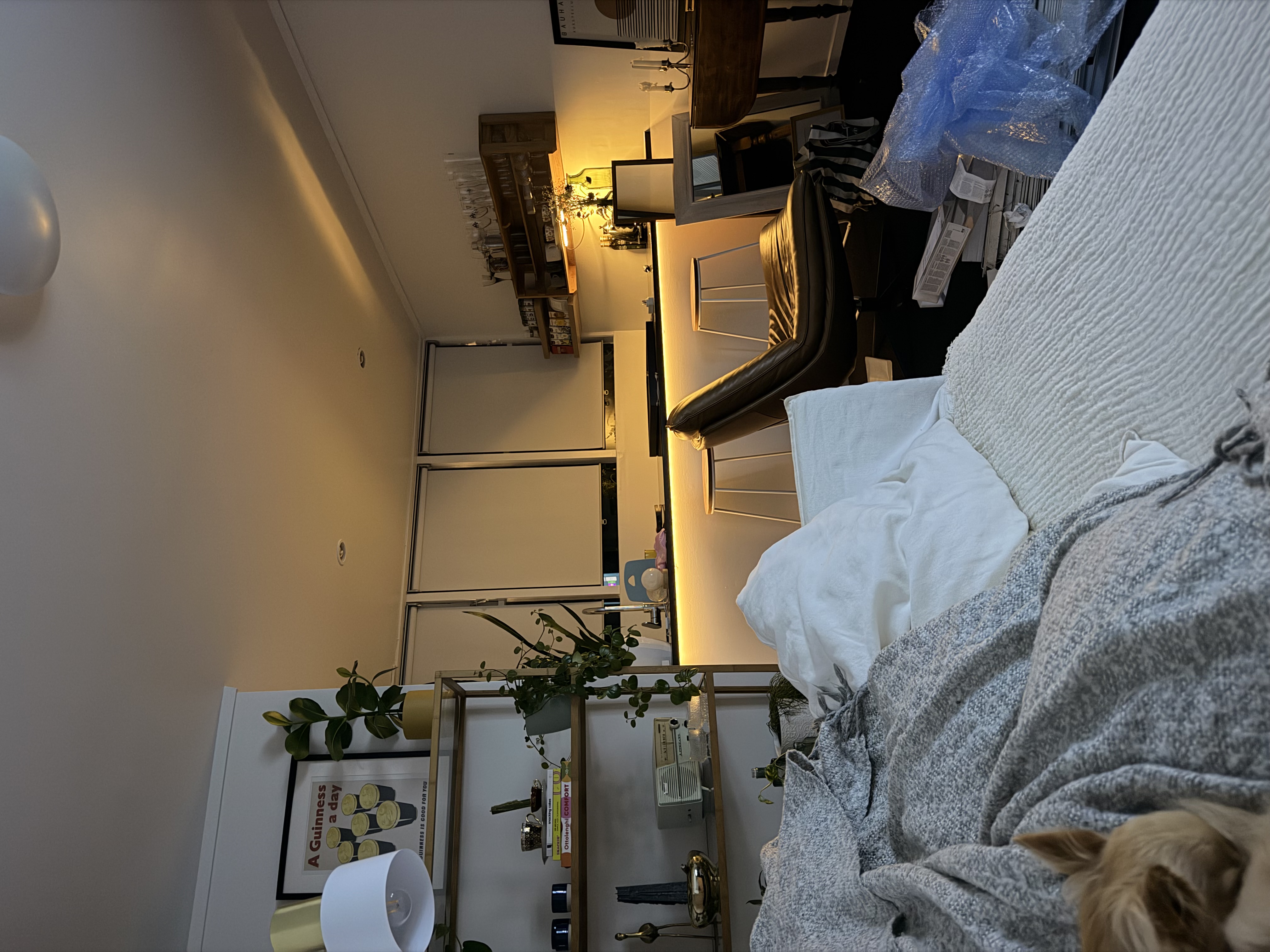 image-14