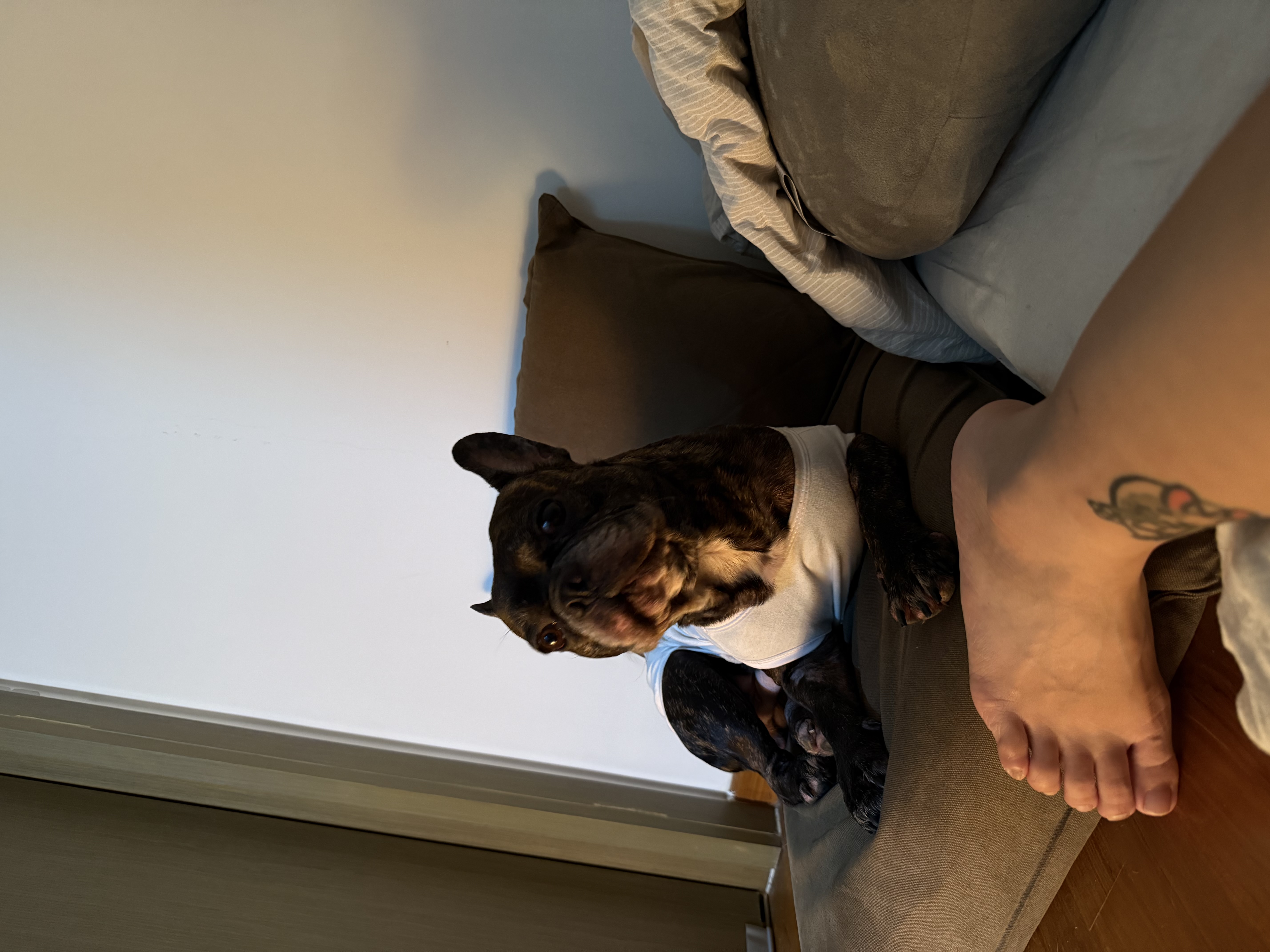 image-11