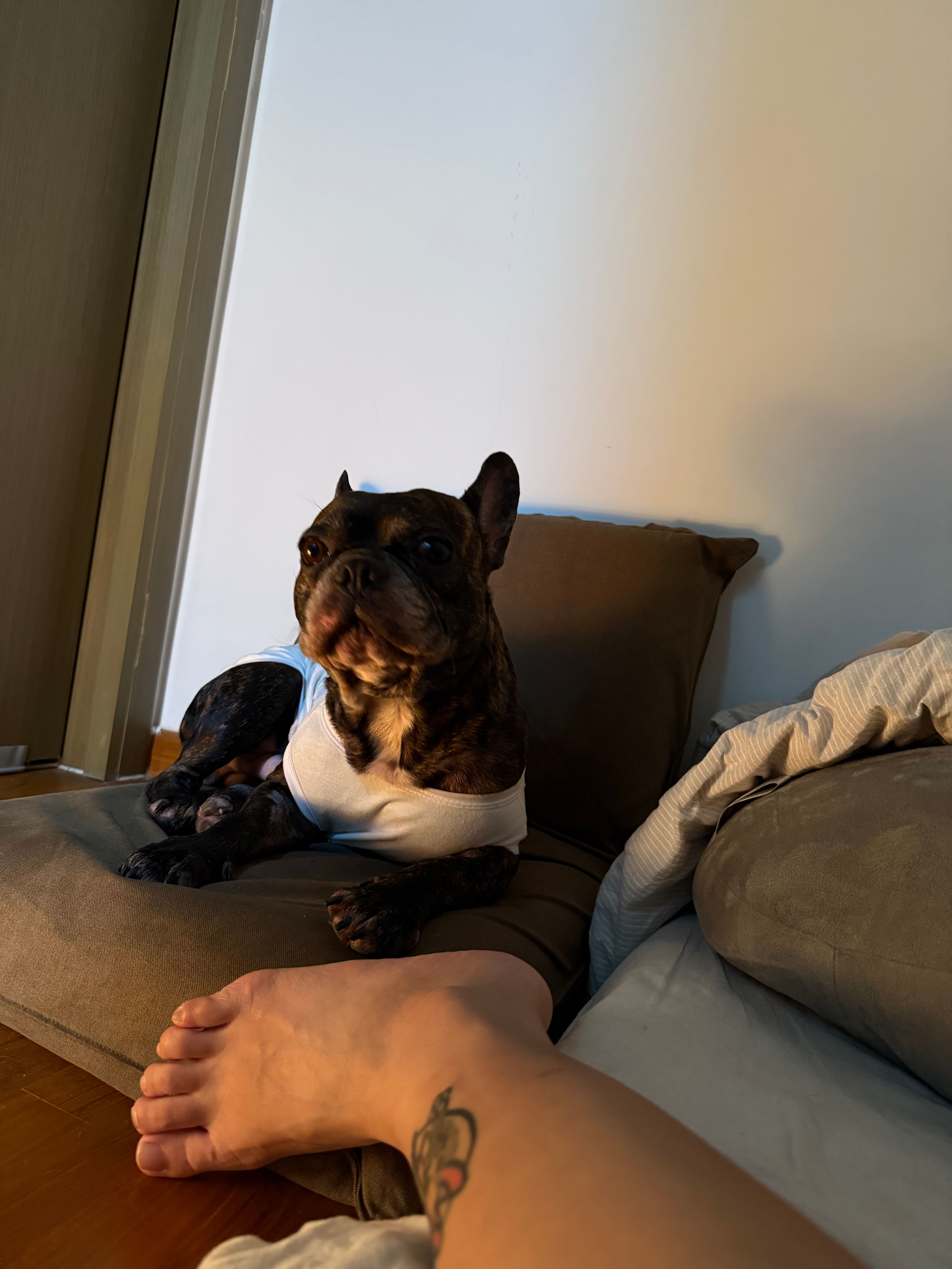 image-11