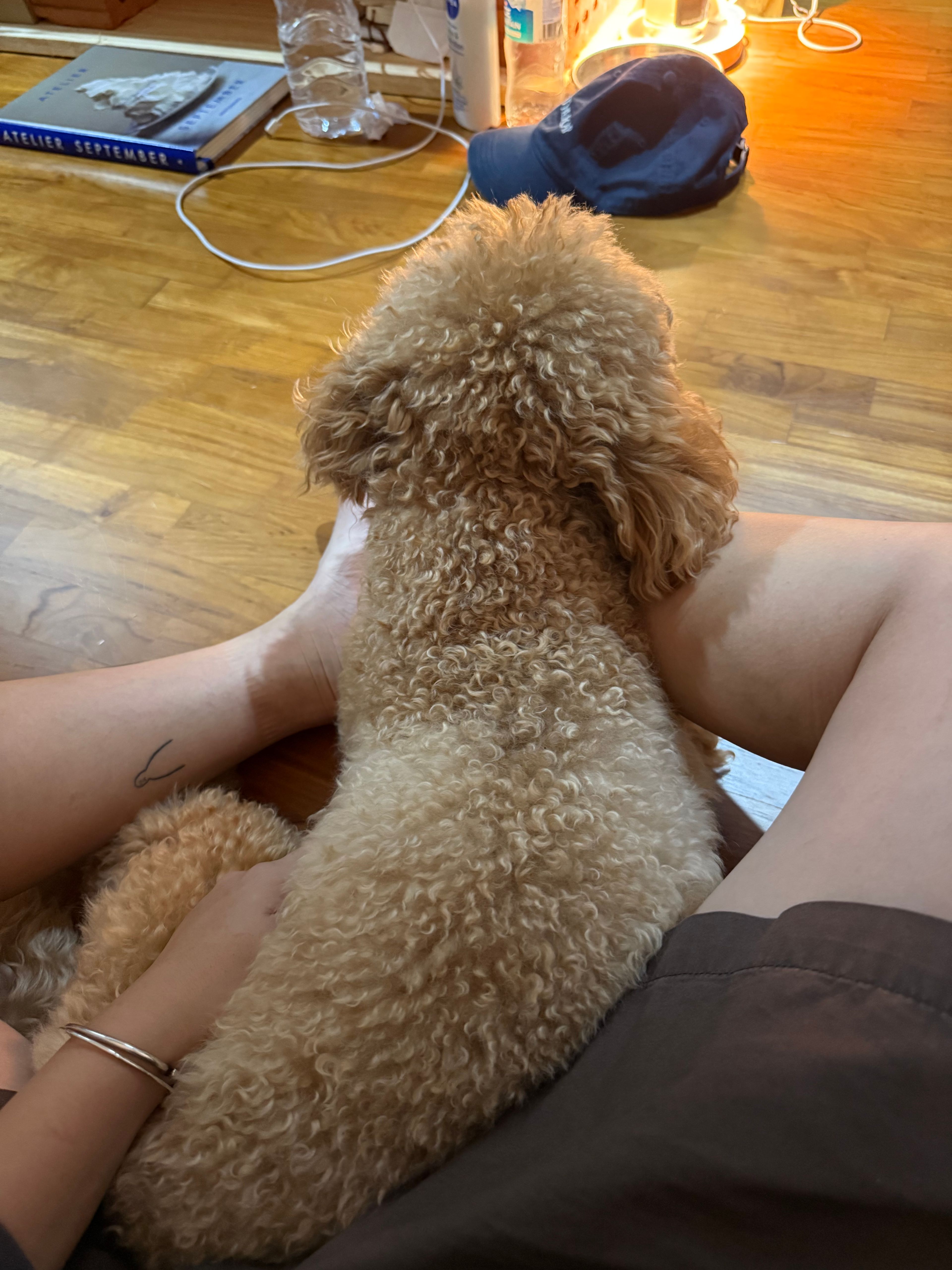 image-16