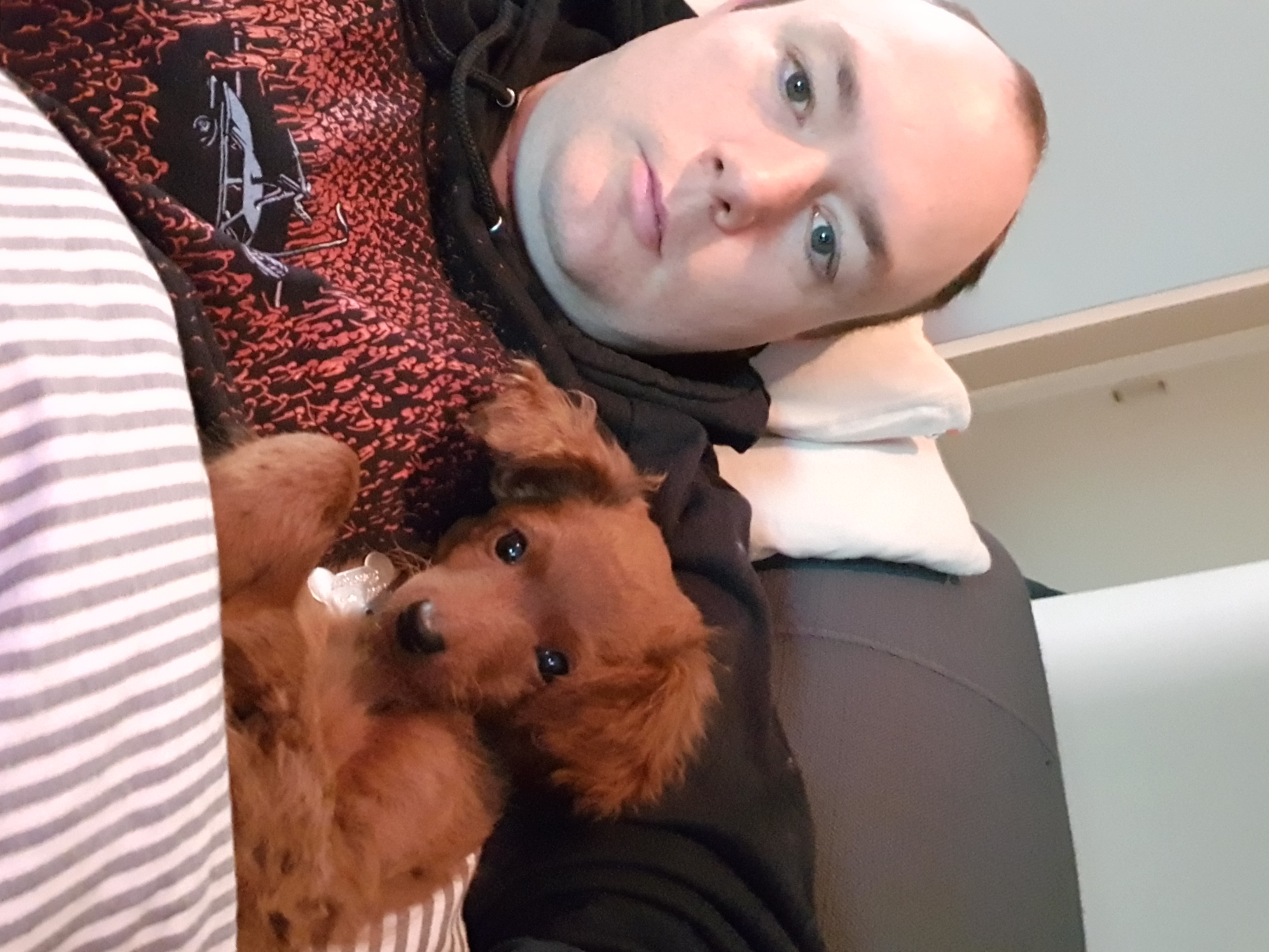 image-8