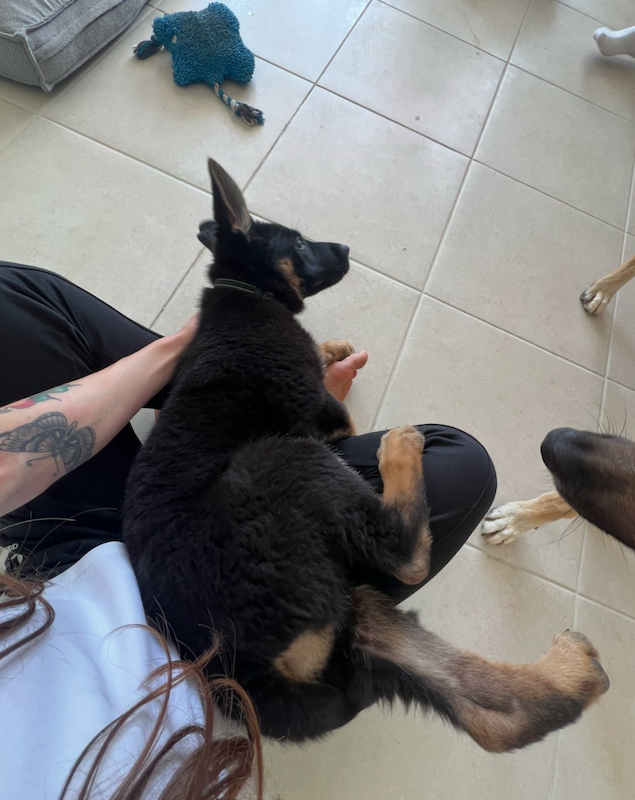 image-12