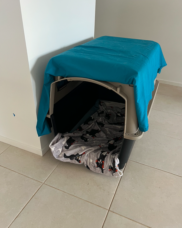 image-19