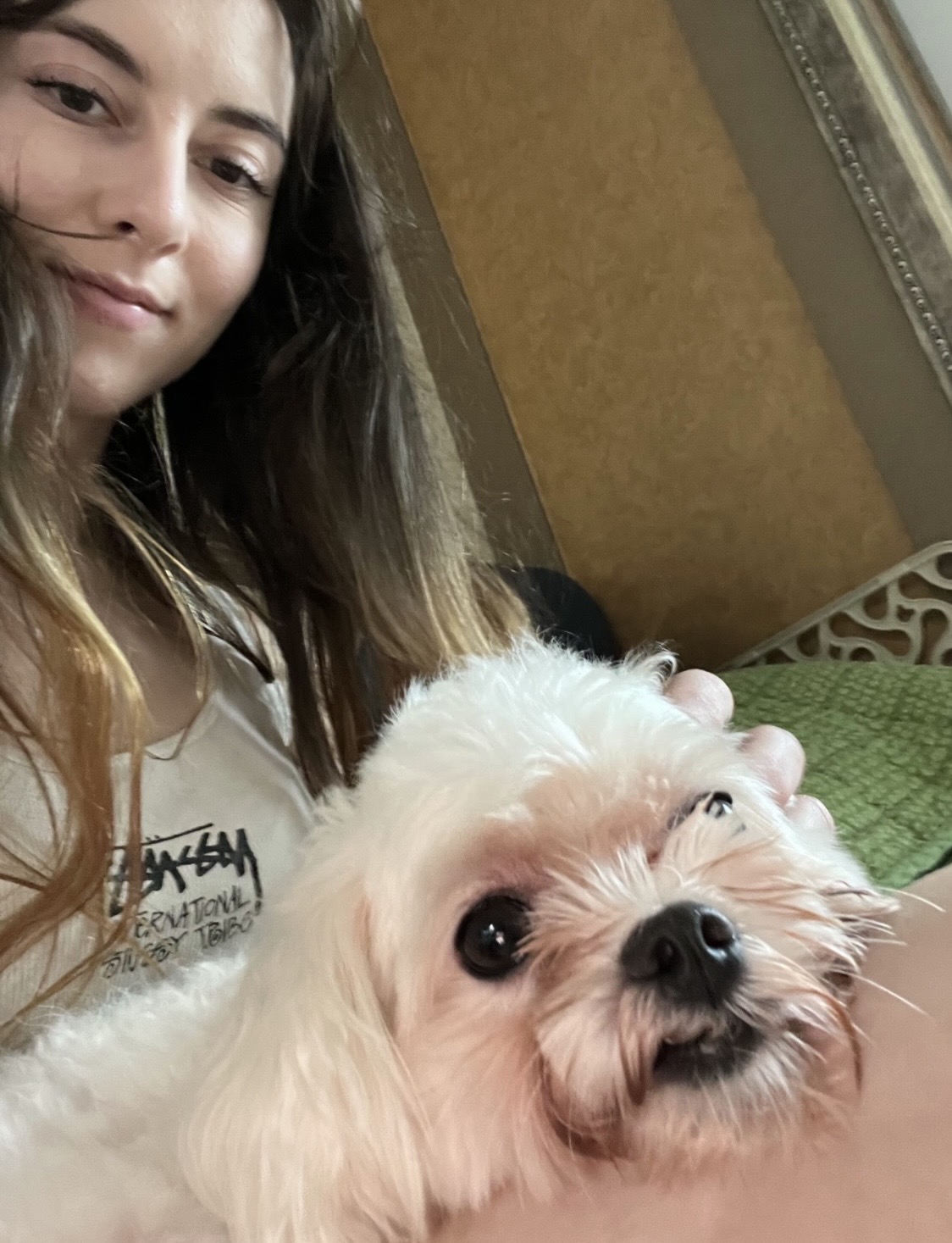 image-9