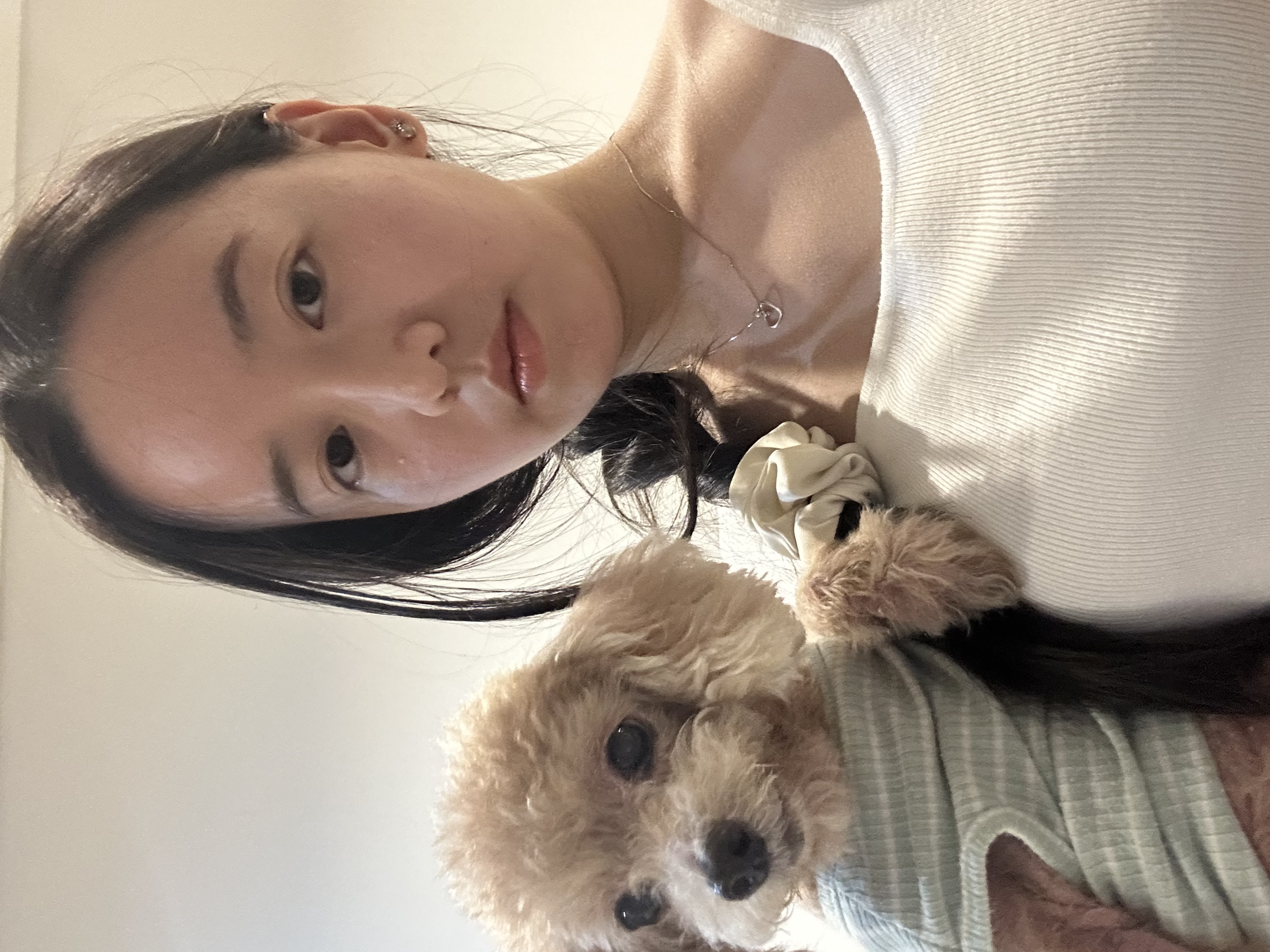 image-6