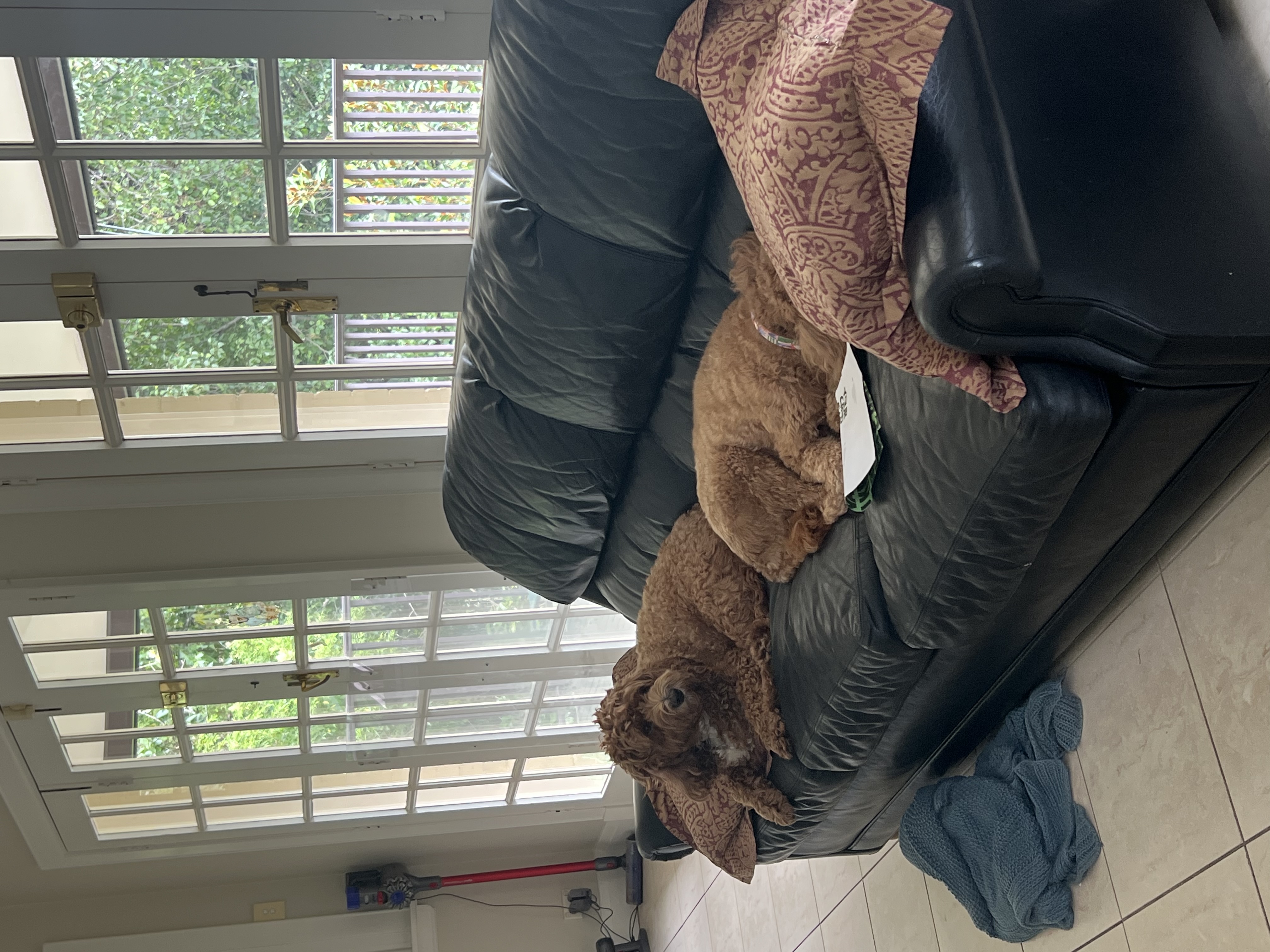 image-9