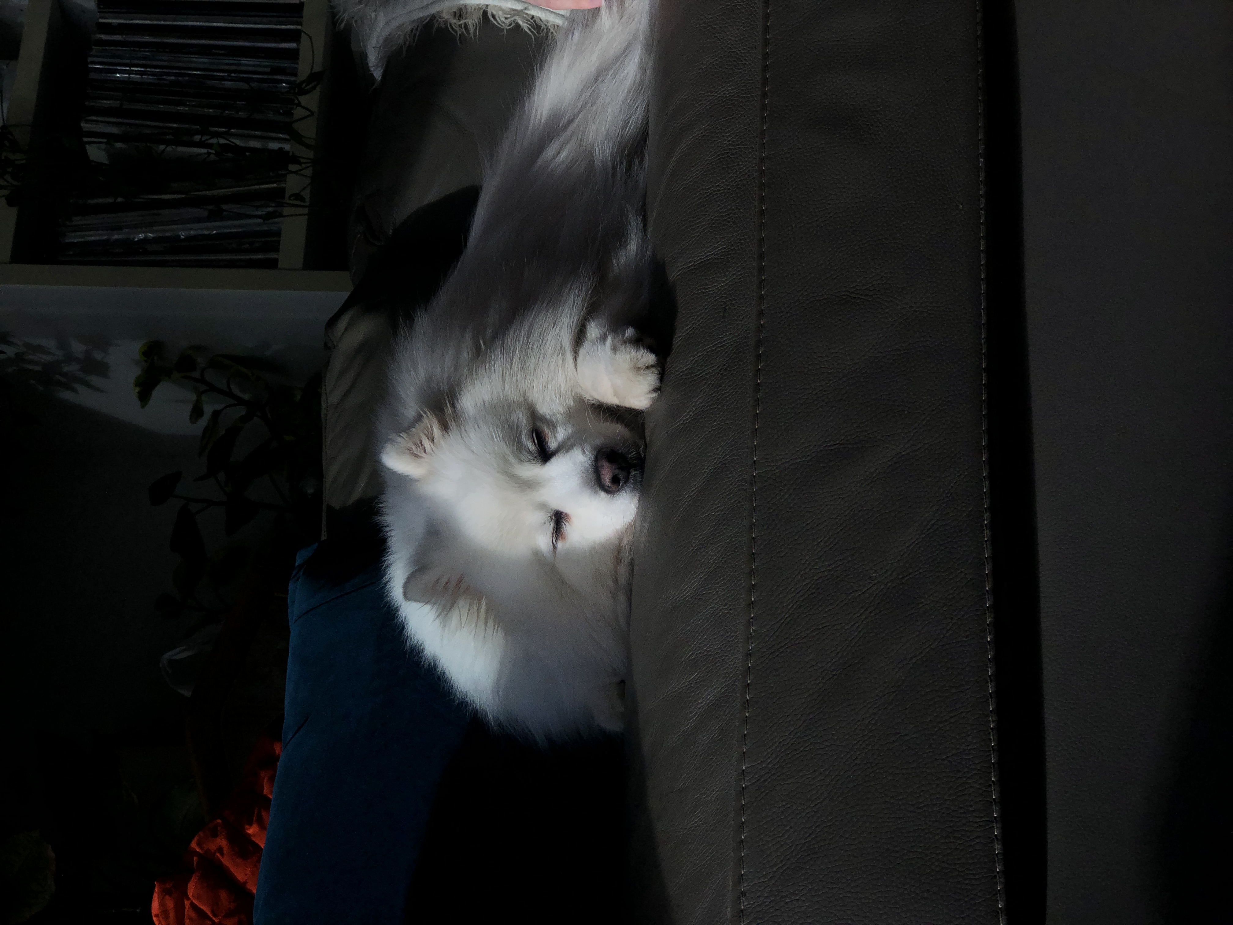 image-3