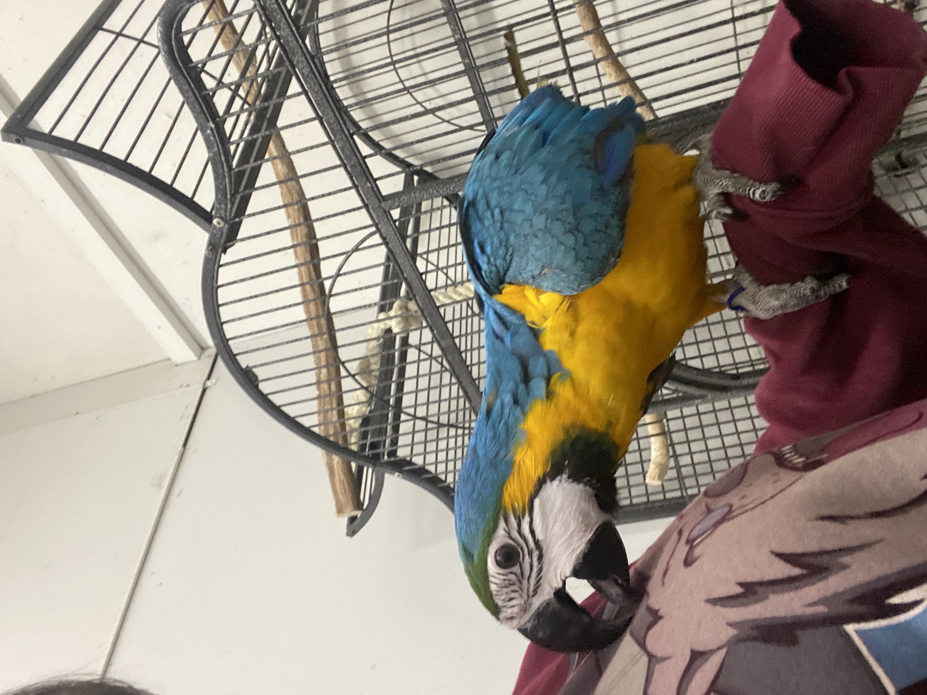 image-9