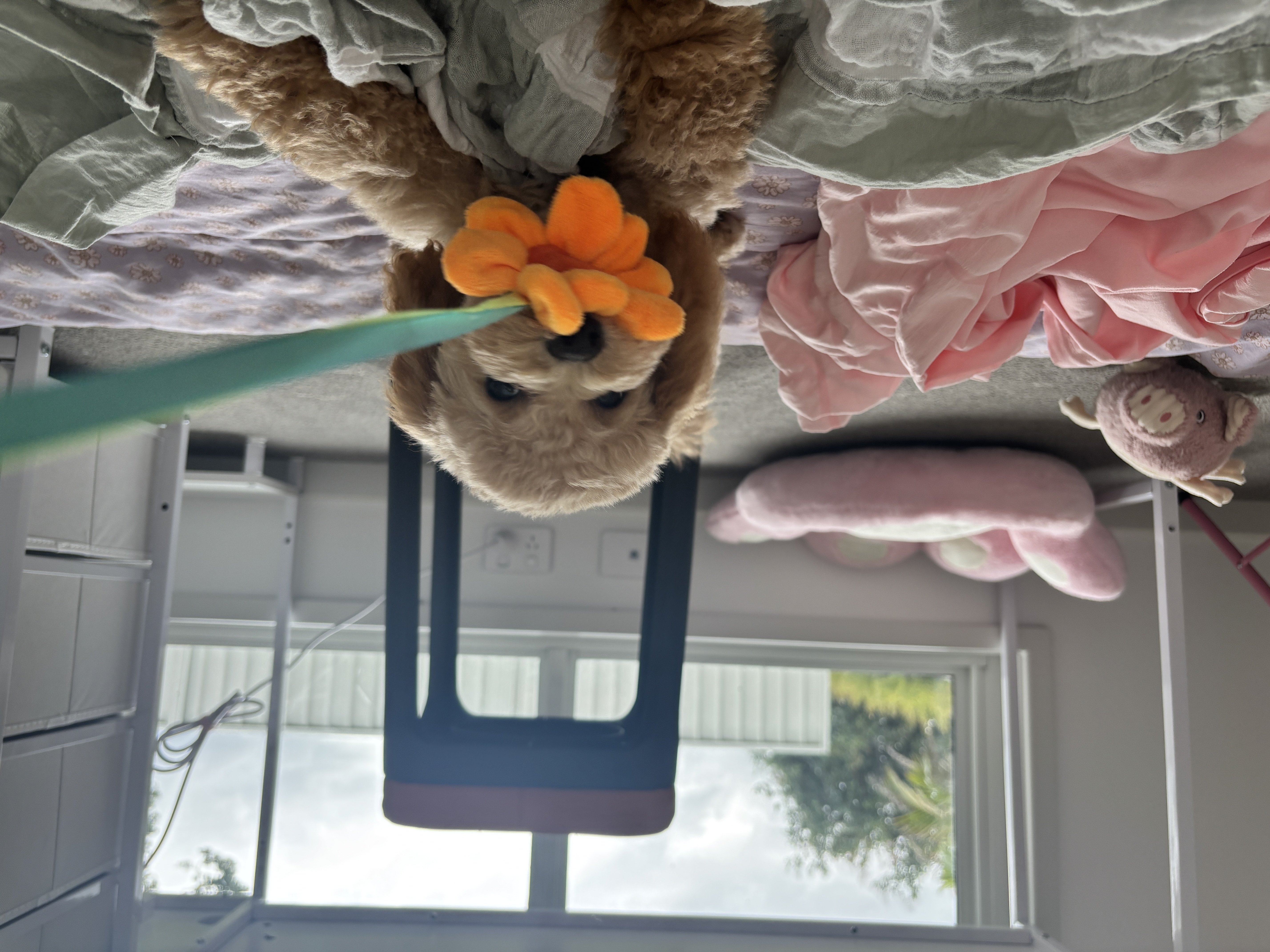 image-15