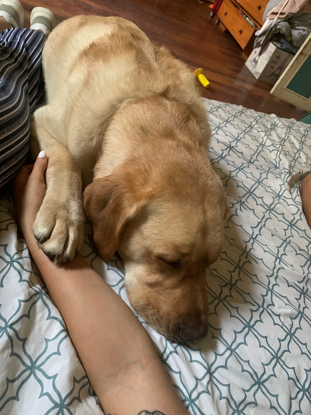 image-4