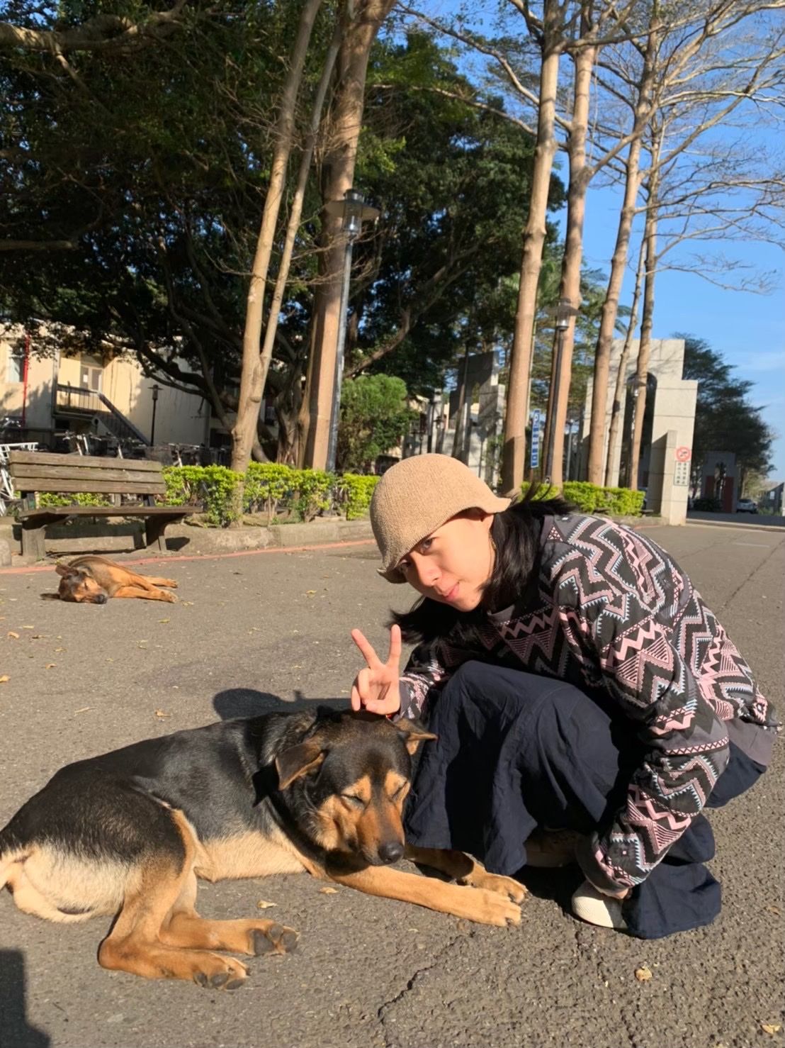 image-6