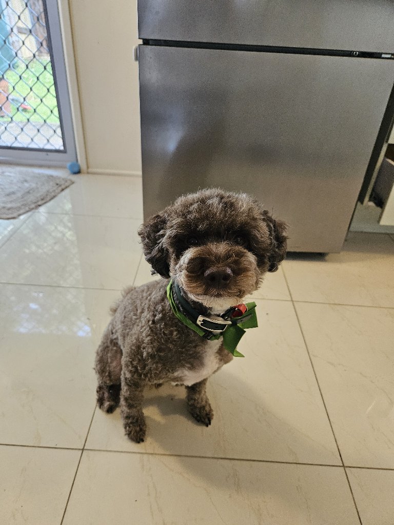Charlie