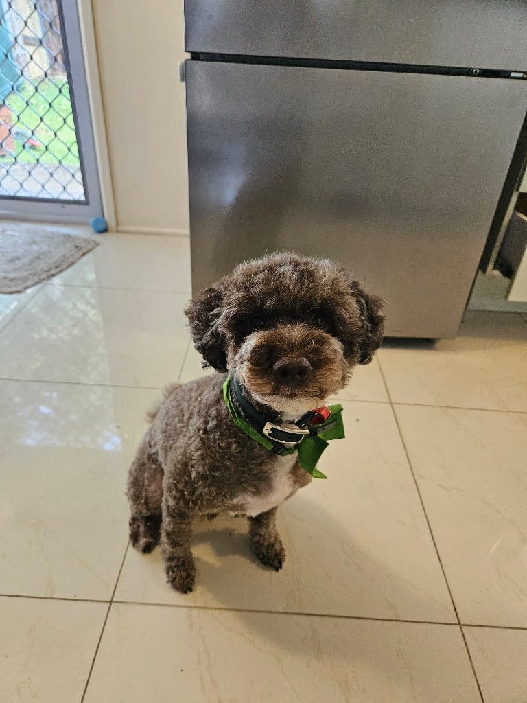Charlie