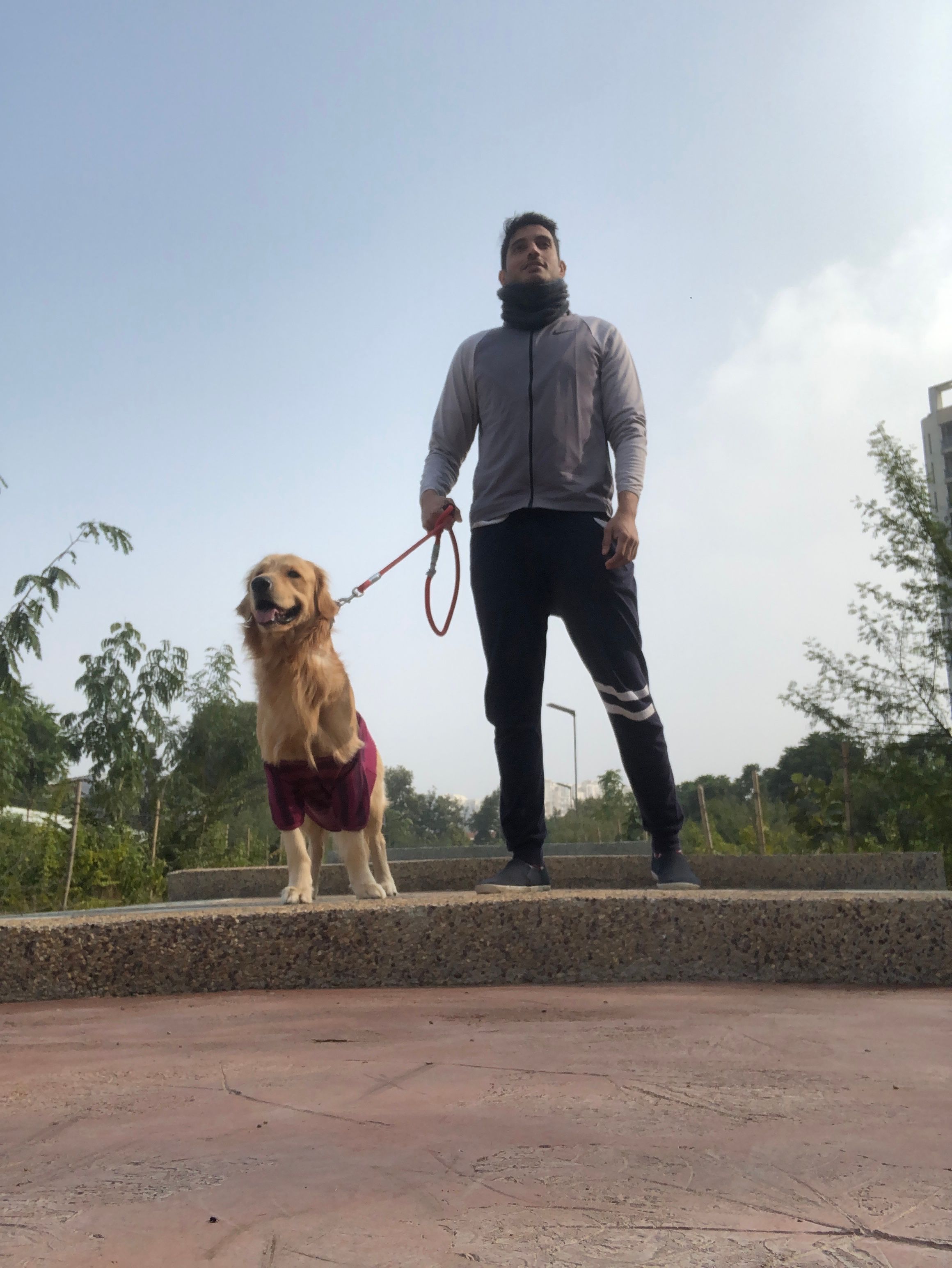 image-5