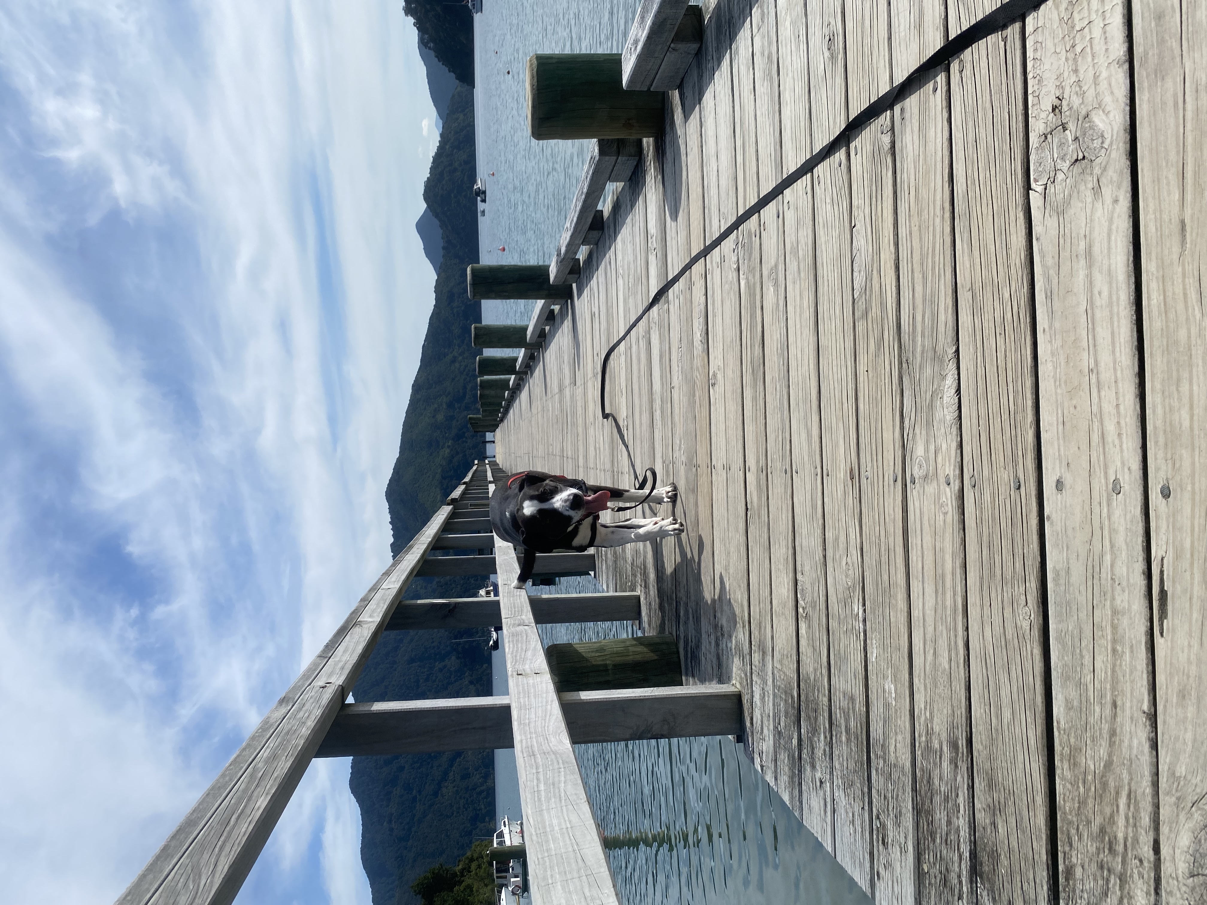 image-5