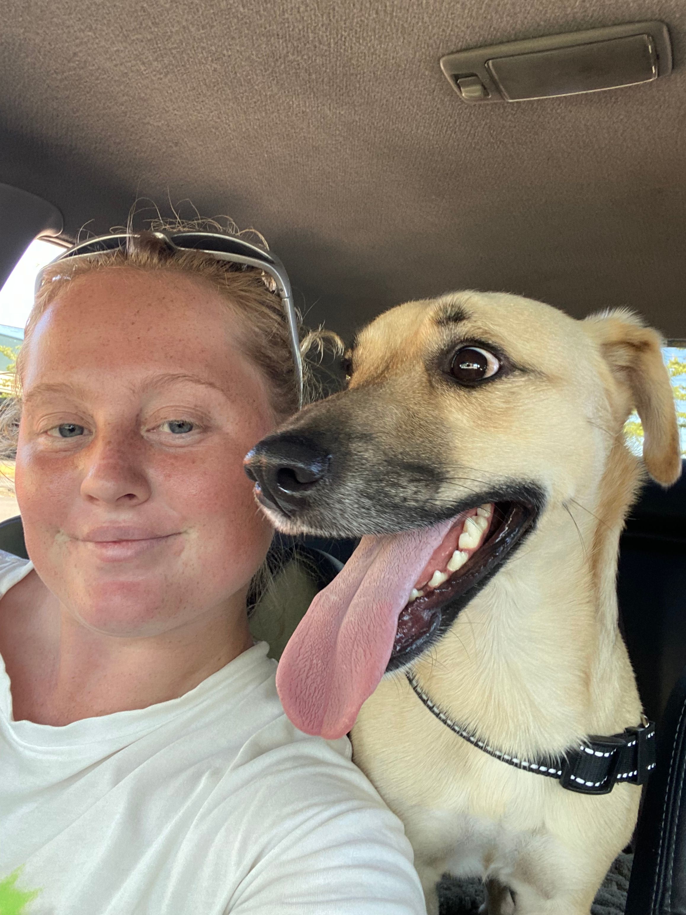 image-4