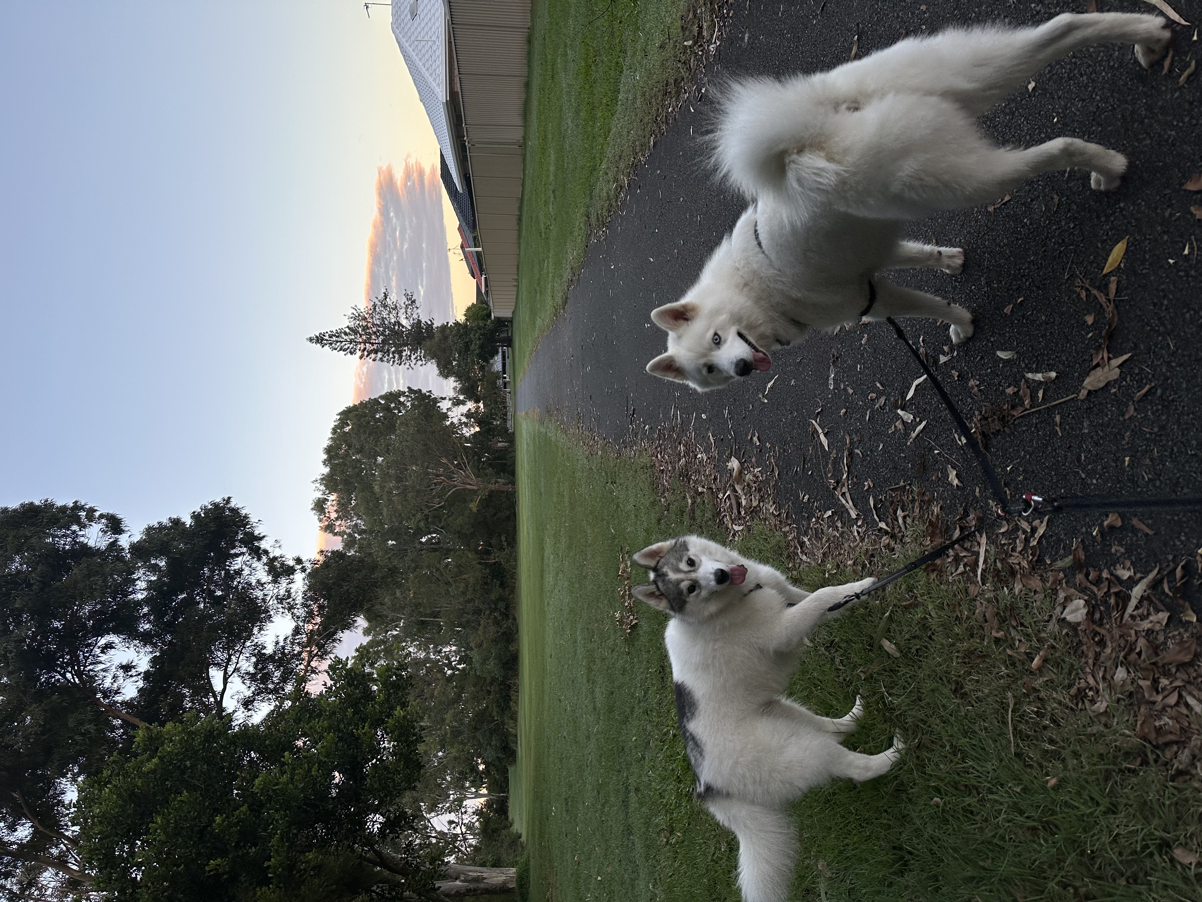 image-8
