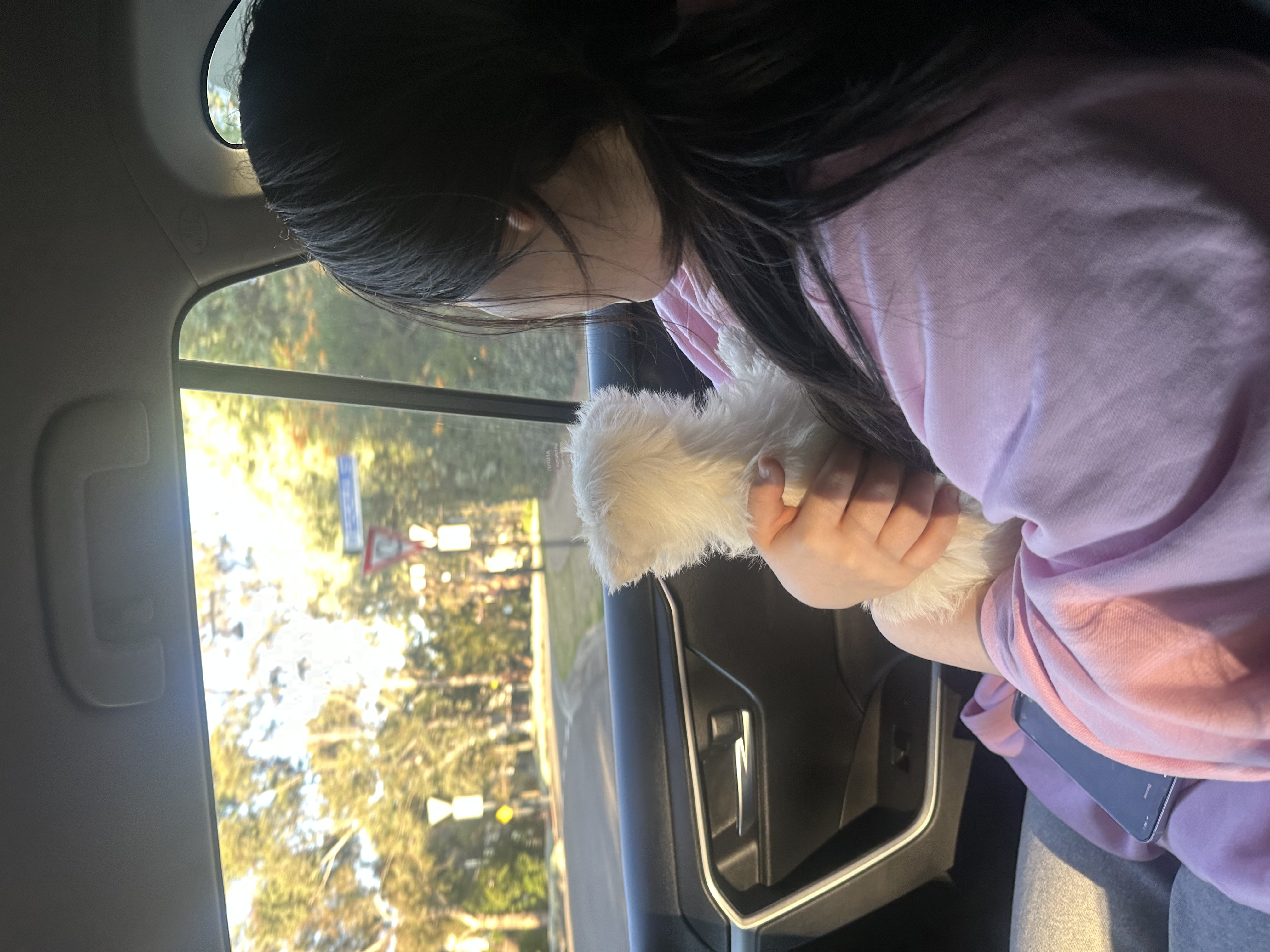 image-8