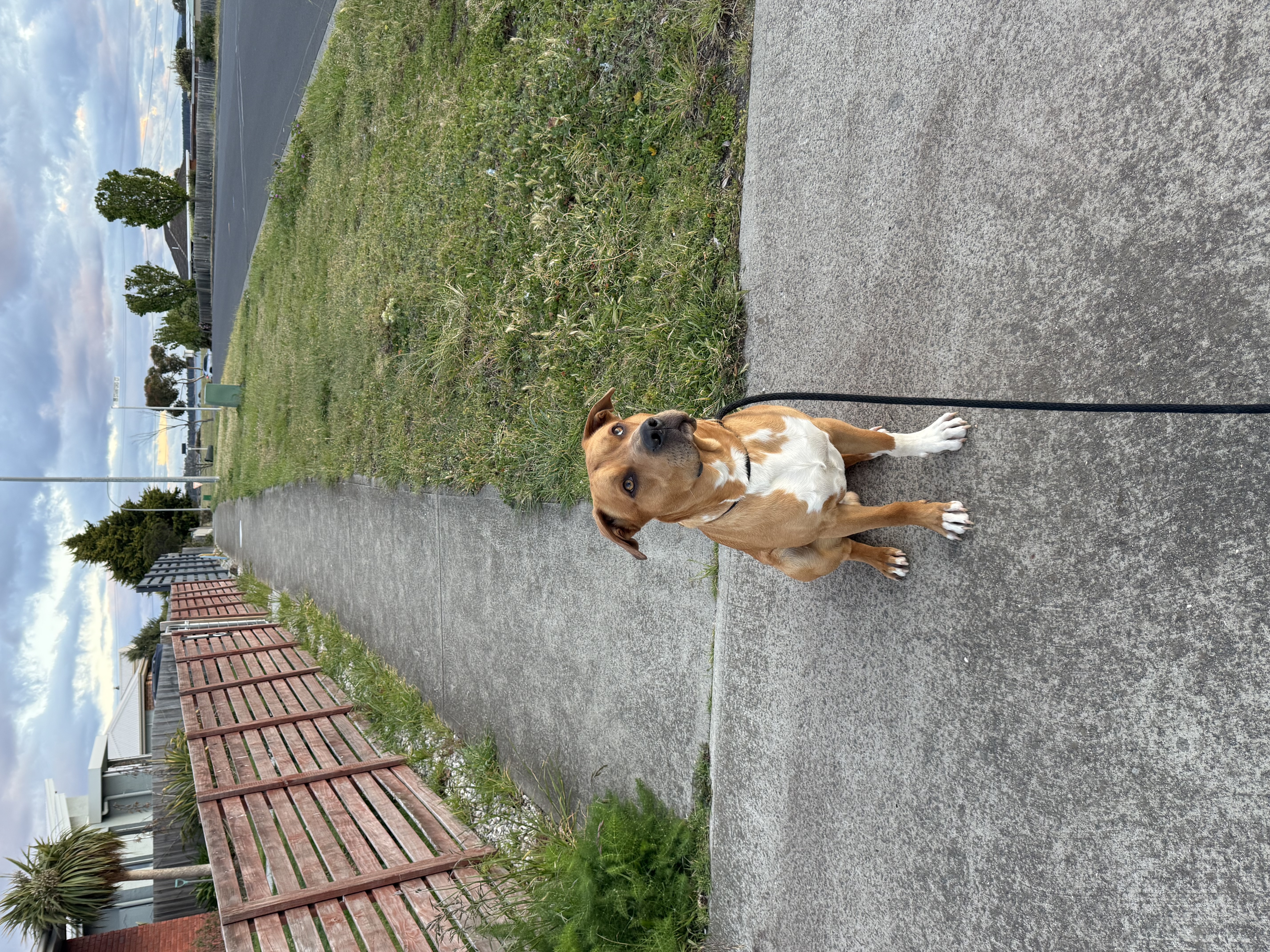 image-6