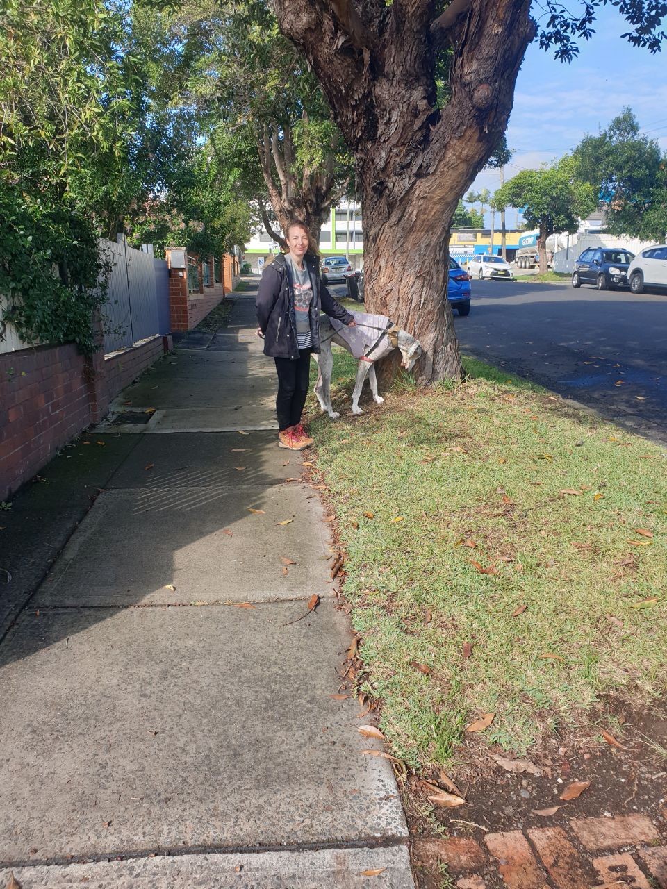 image-12