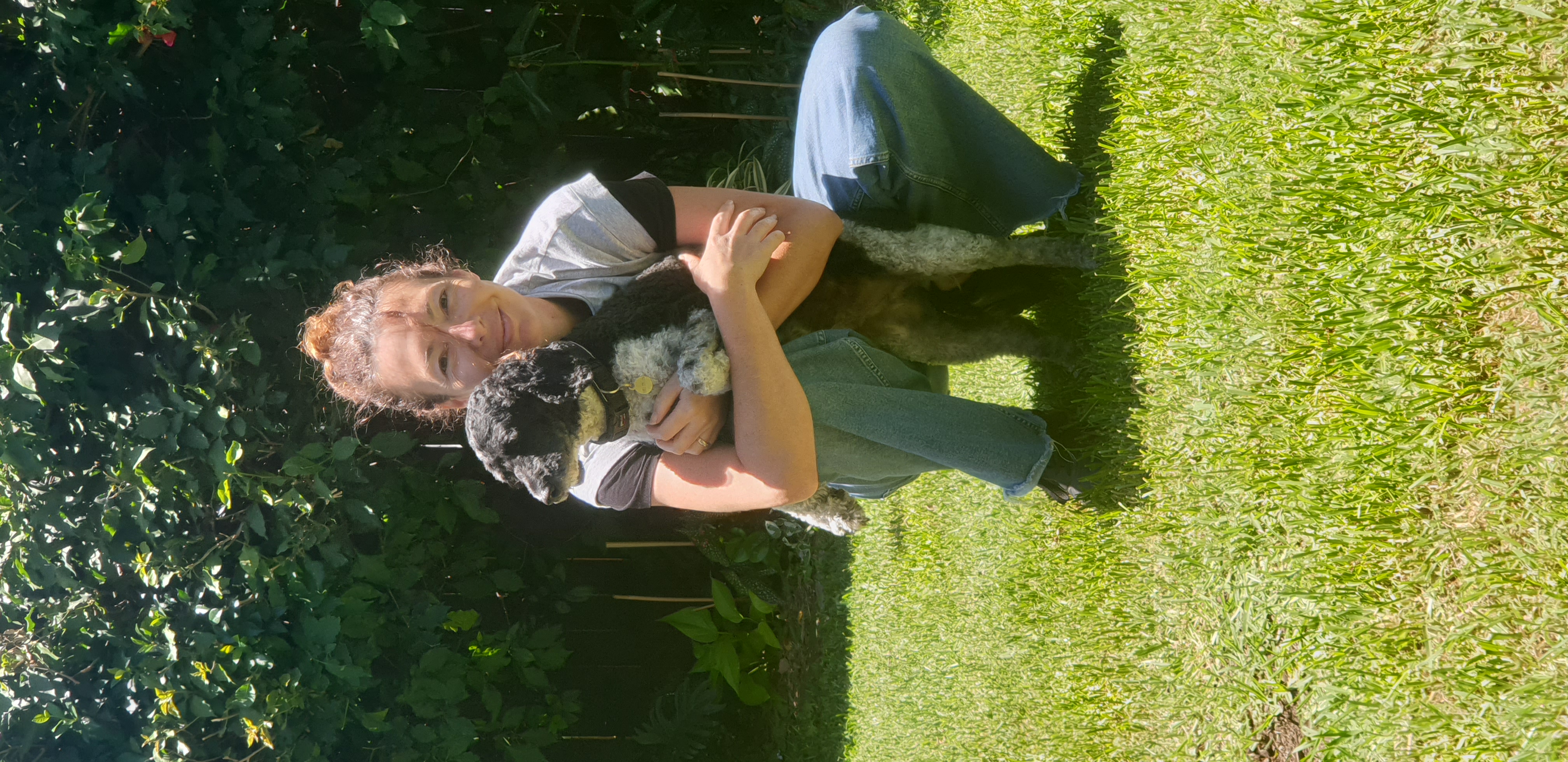 image-7