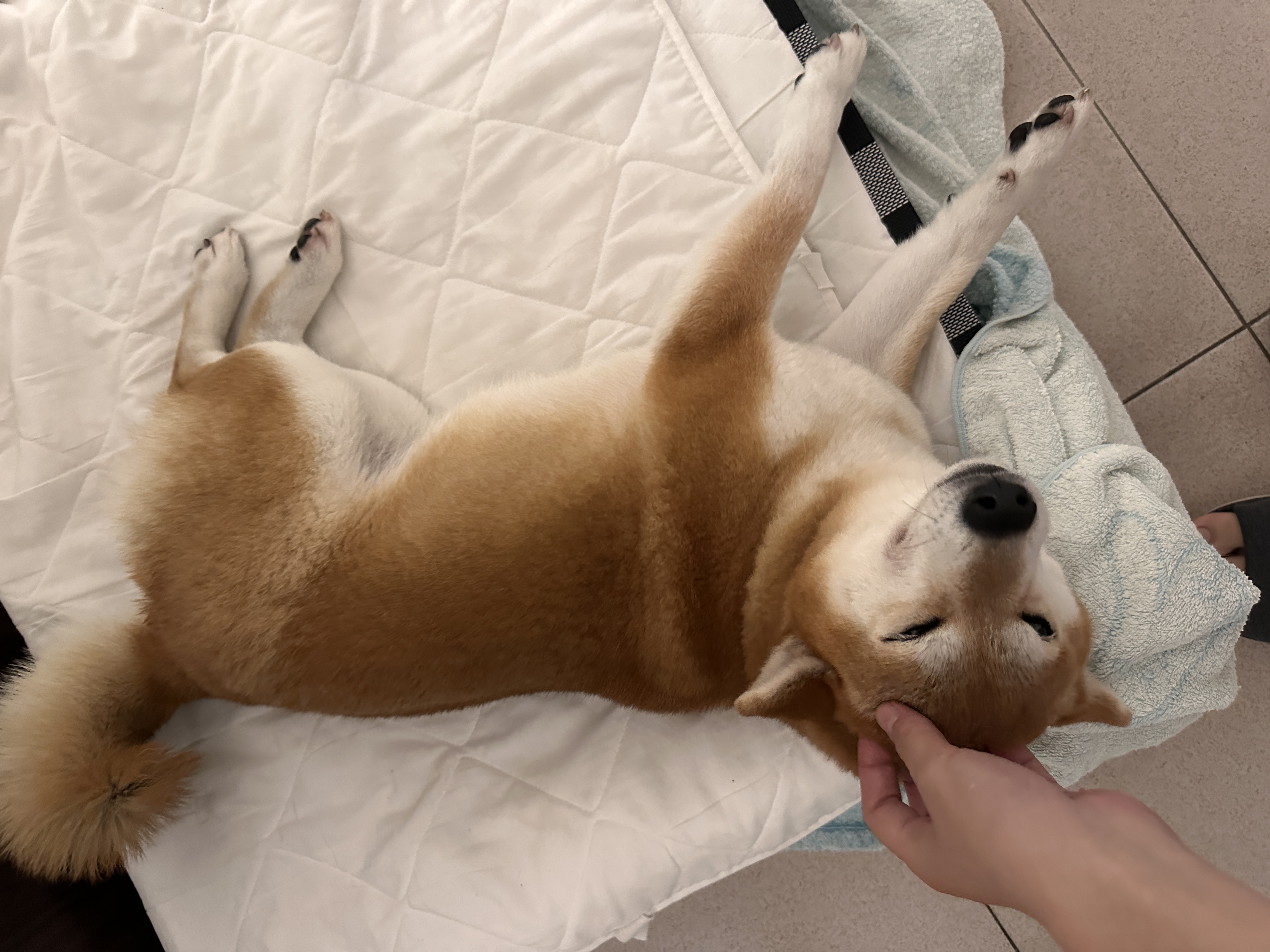 image-7