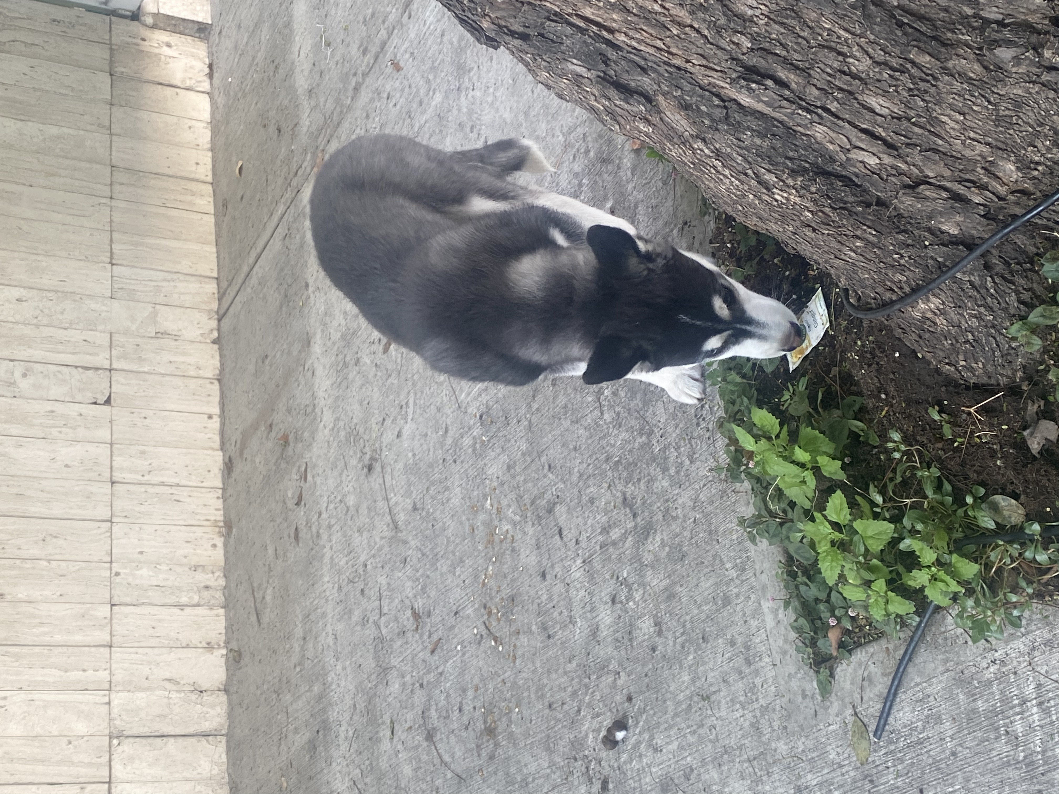 image-10