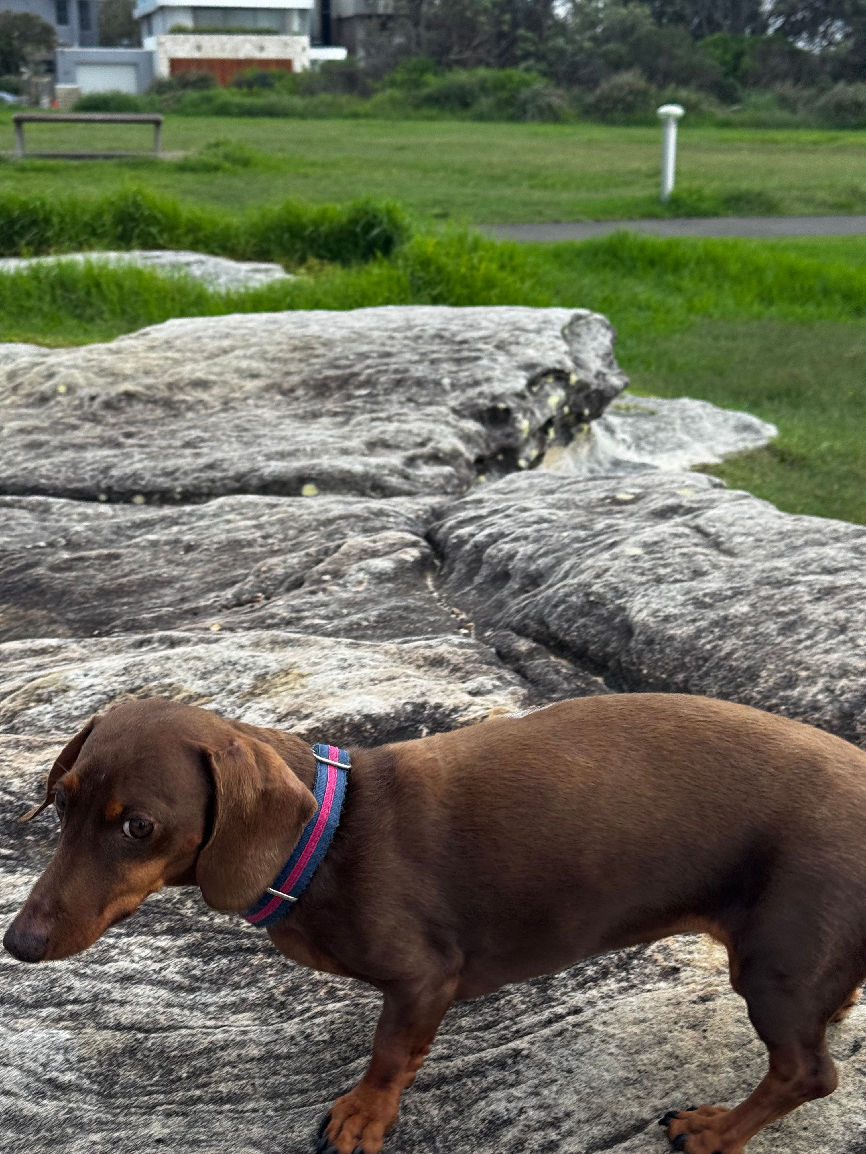 image-14