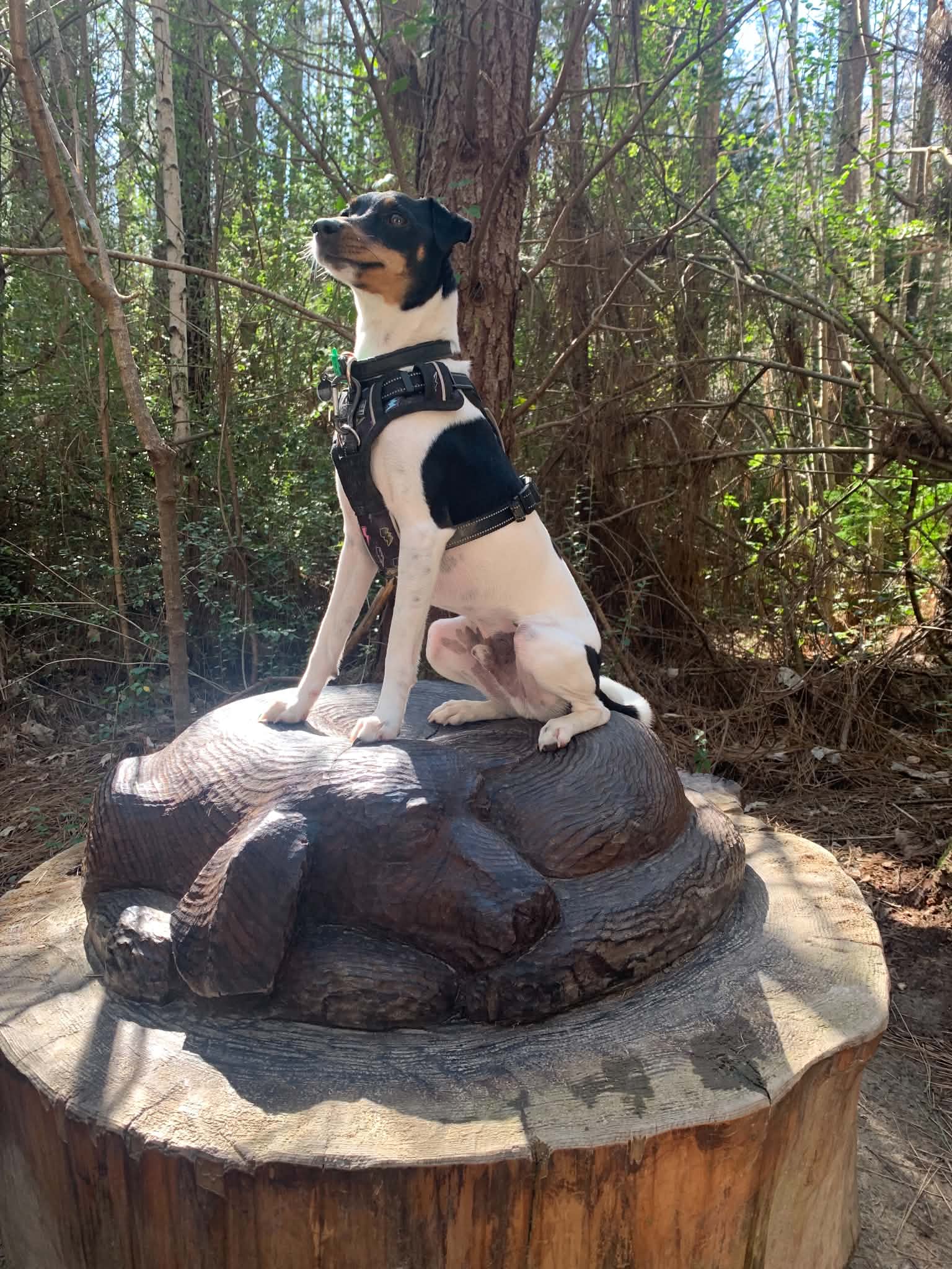 image-5