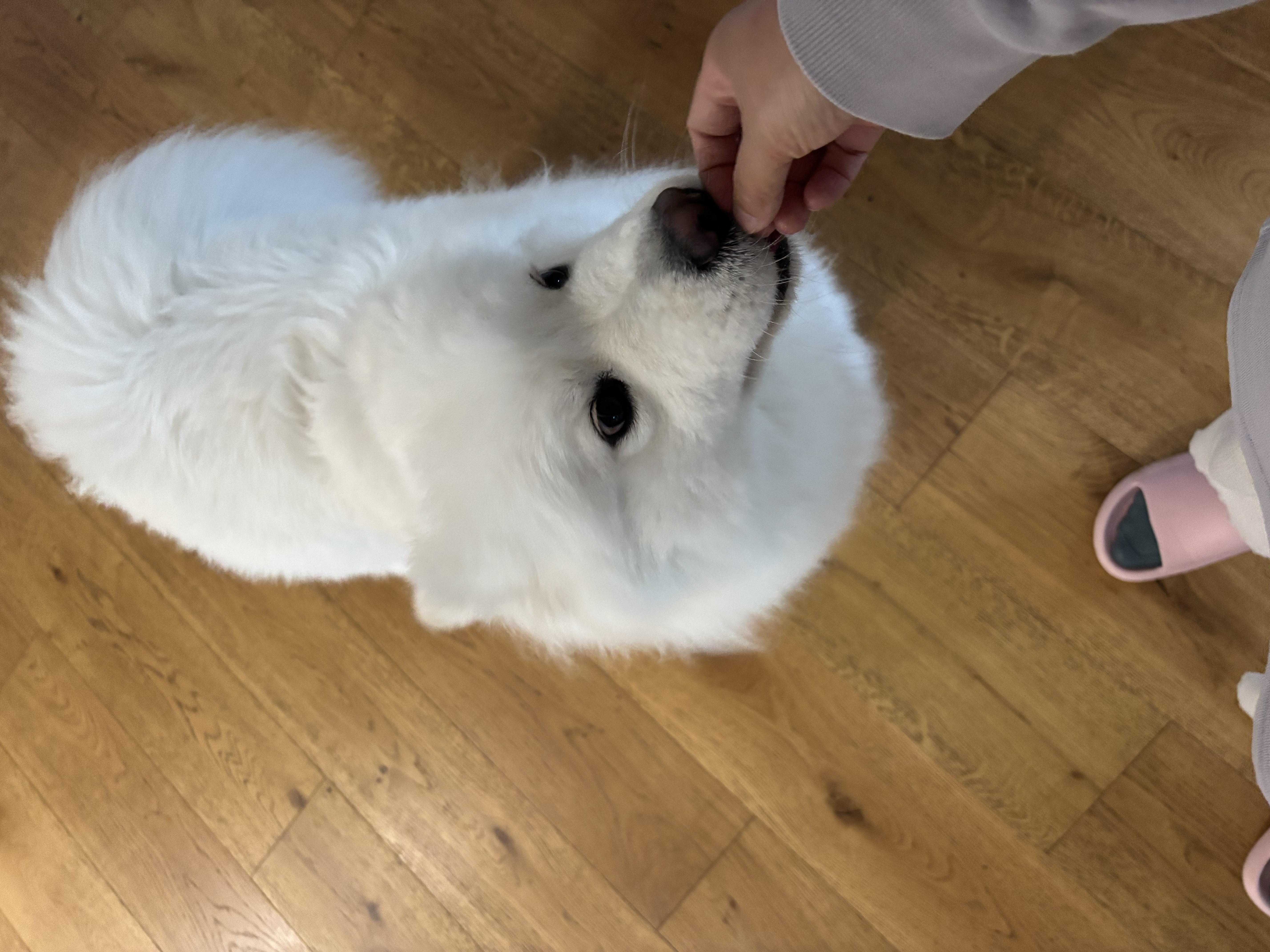 image-13