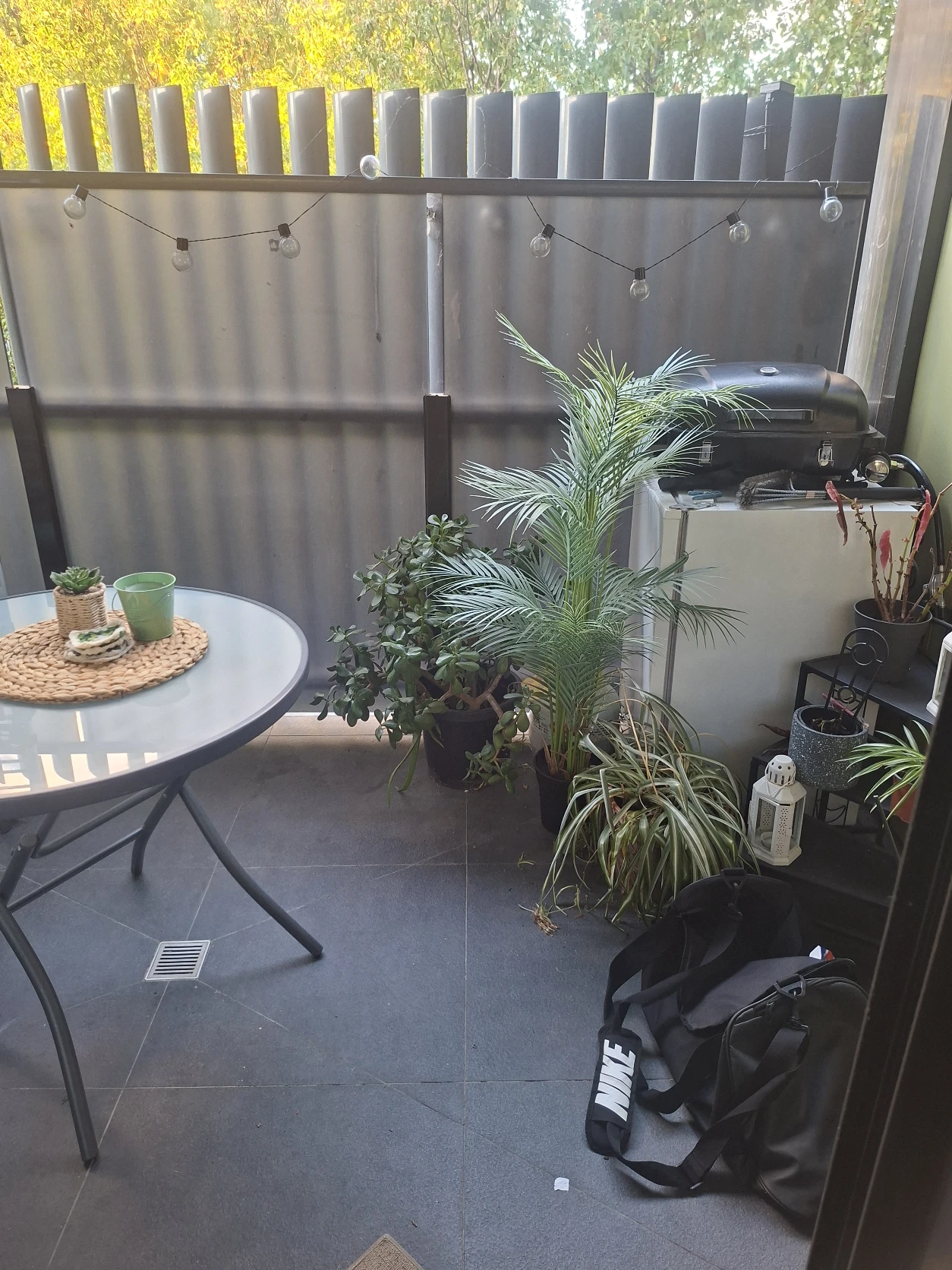 image-18