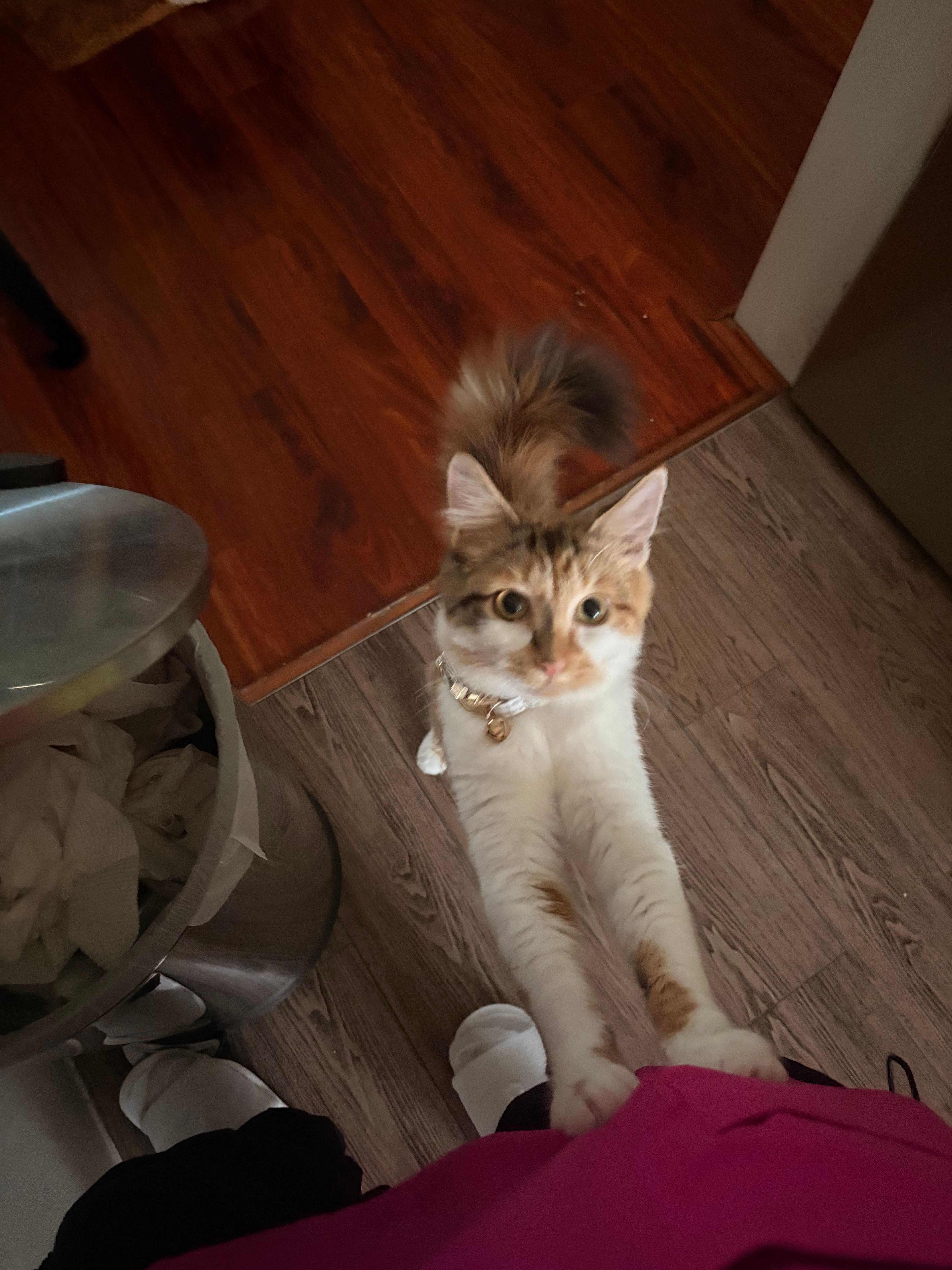 image-11