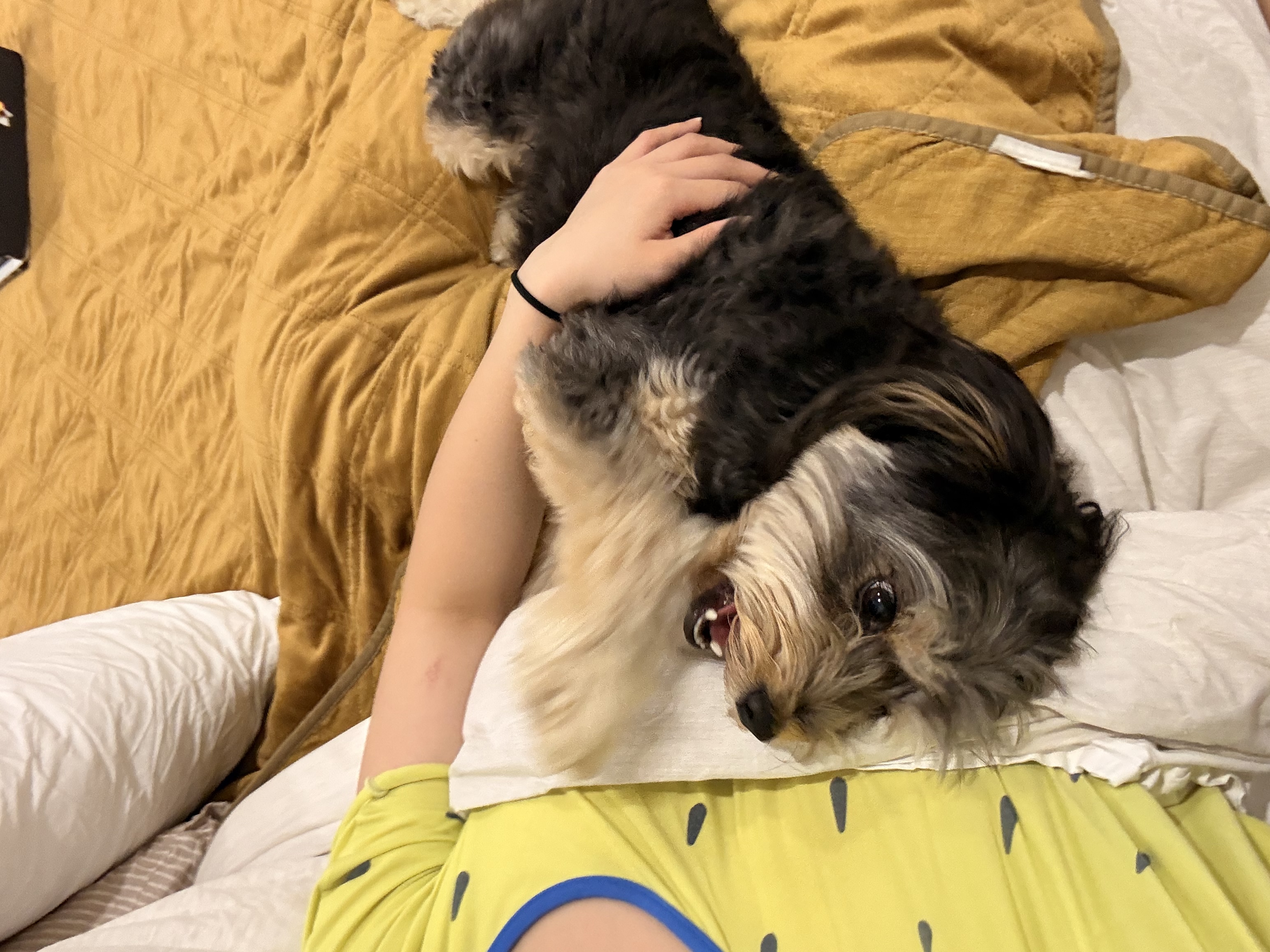 image-8
