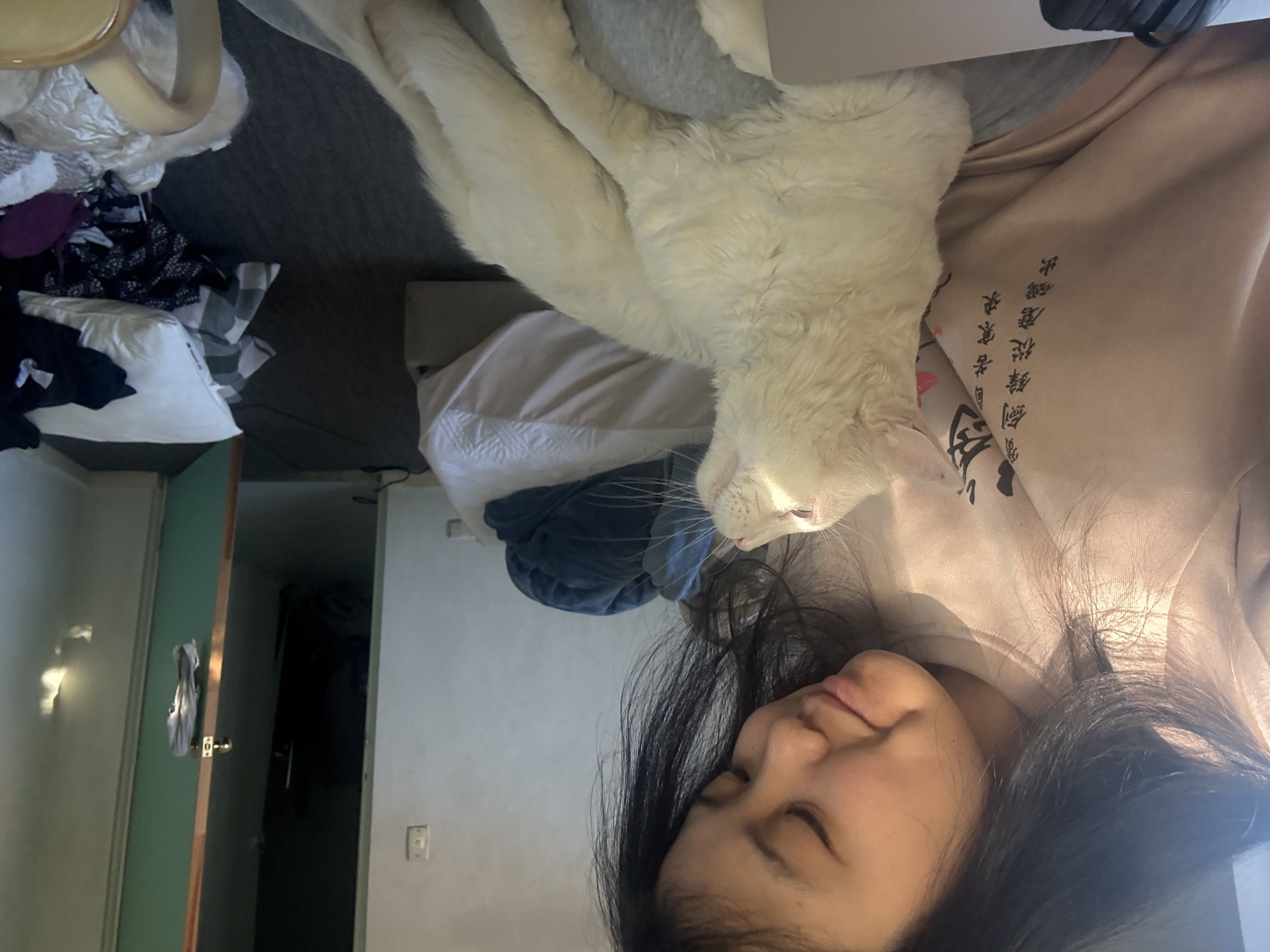 image-6