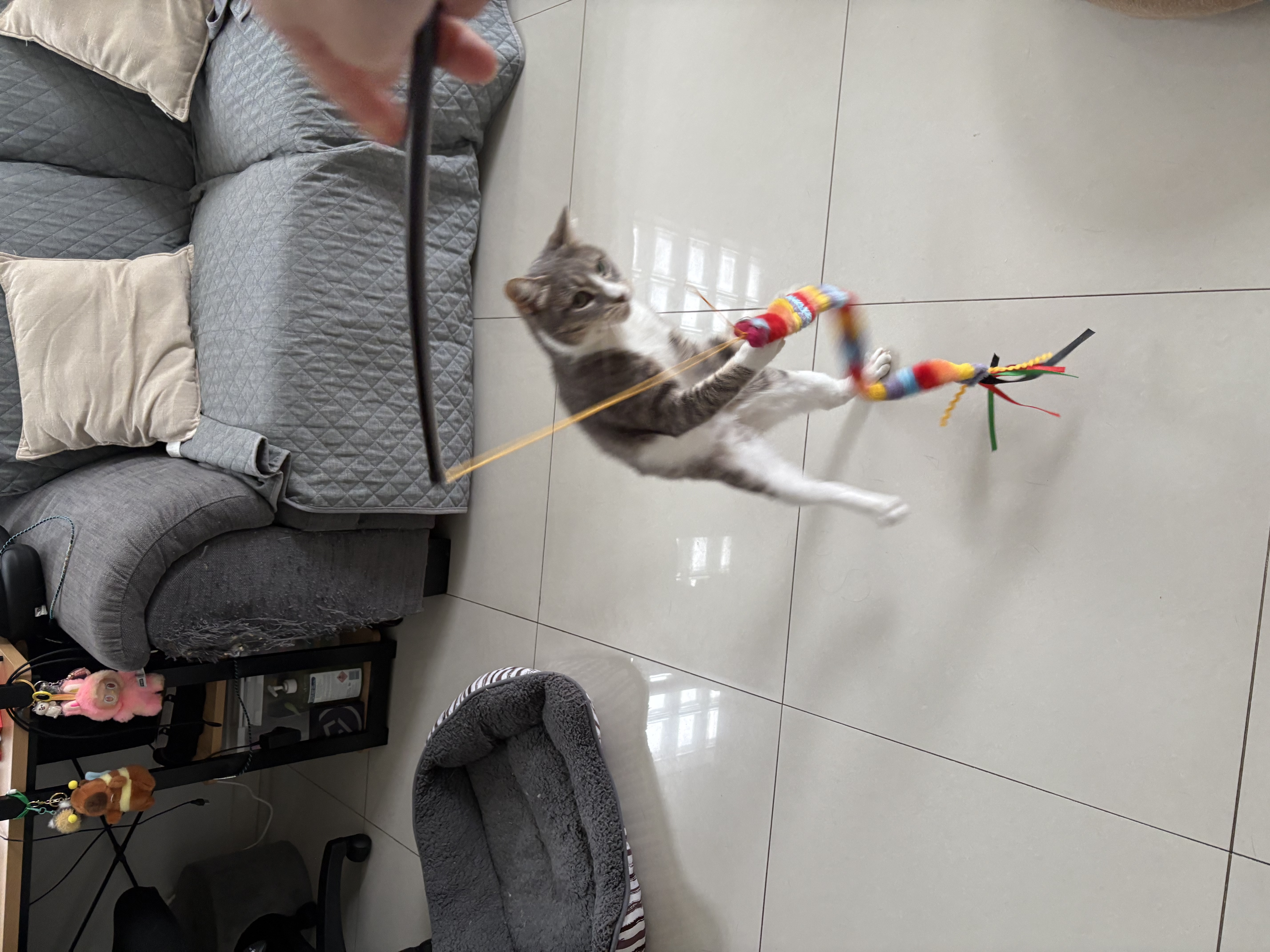 image-3