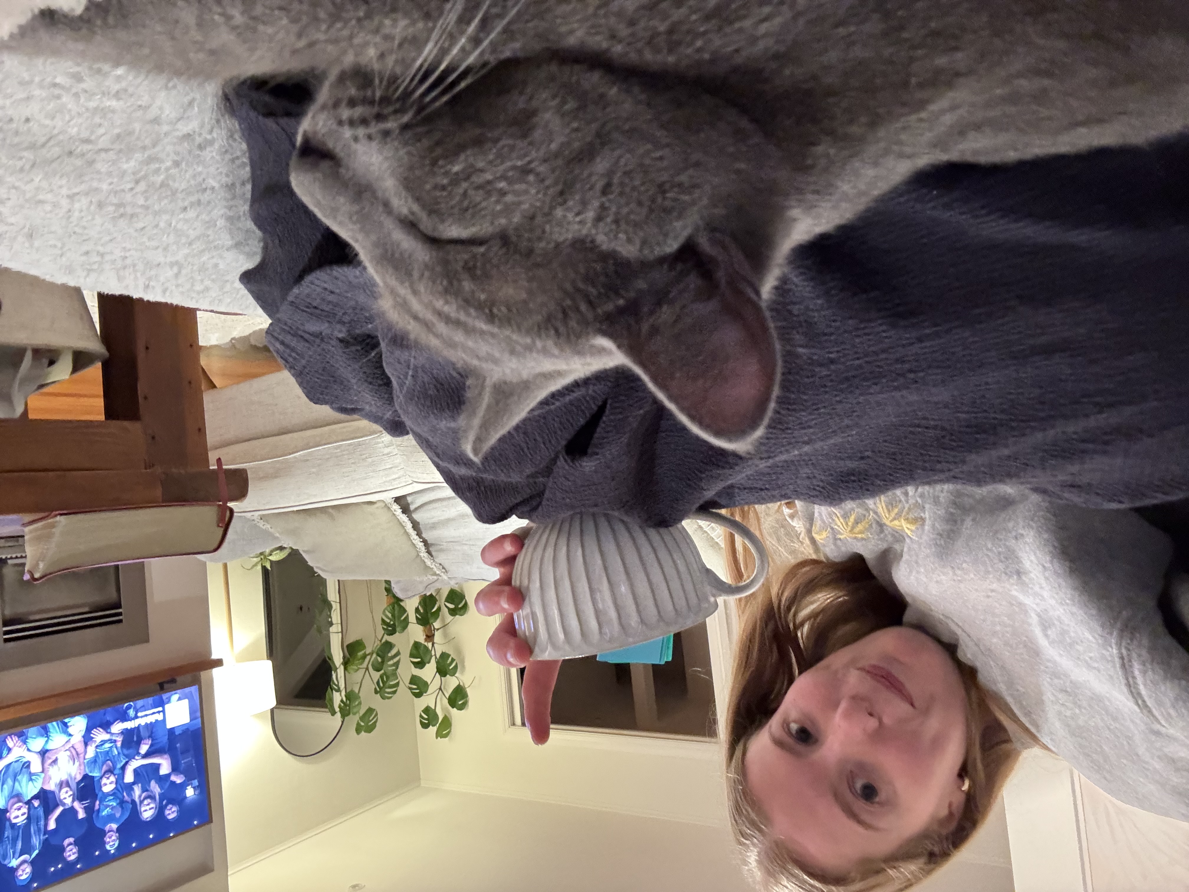 image-7