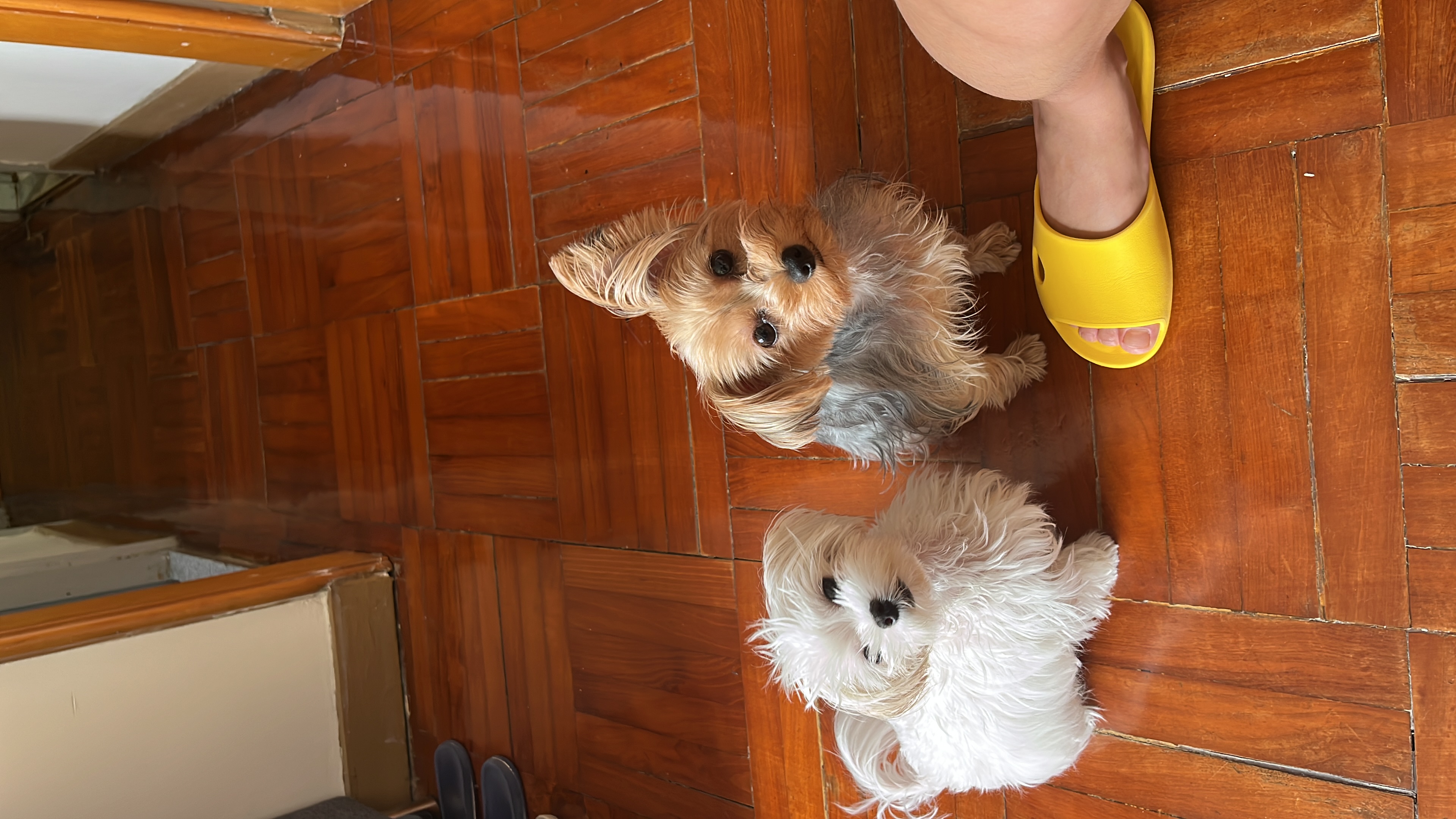 image-4