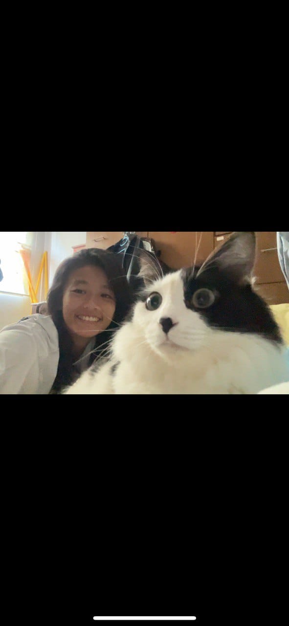 image-5