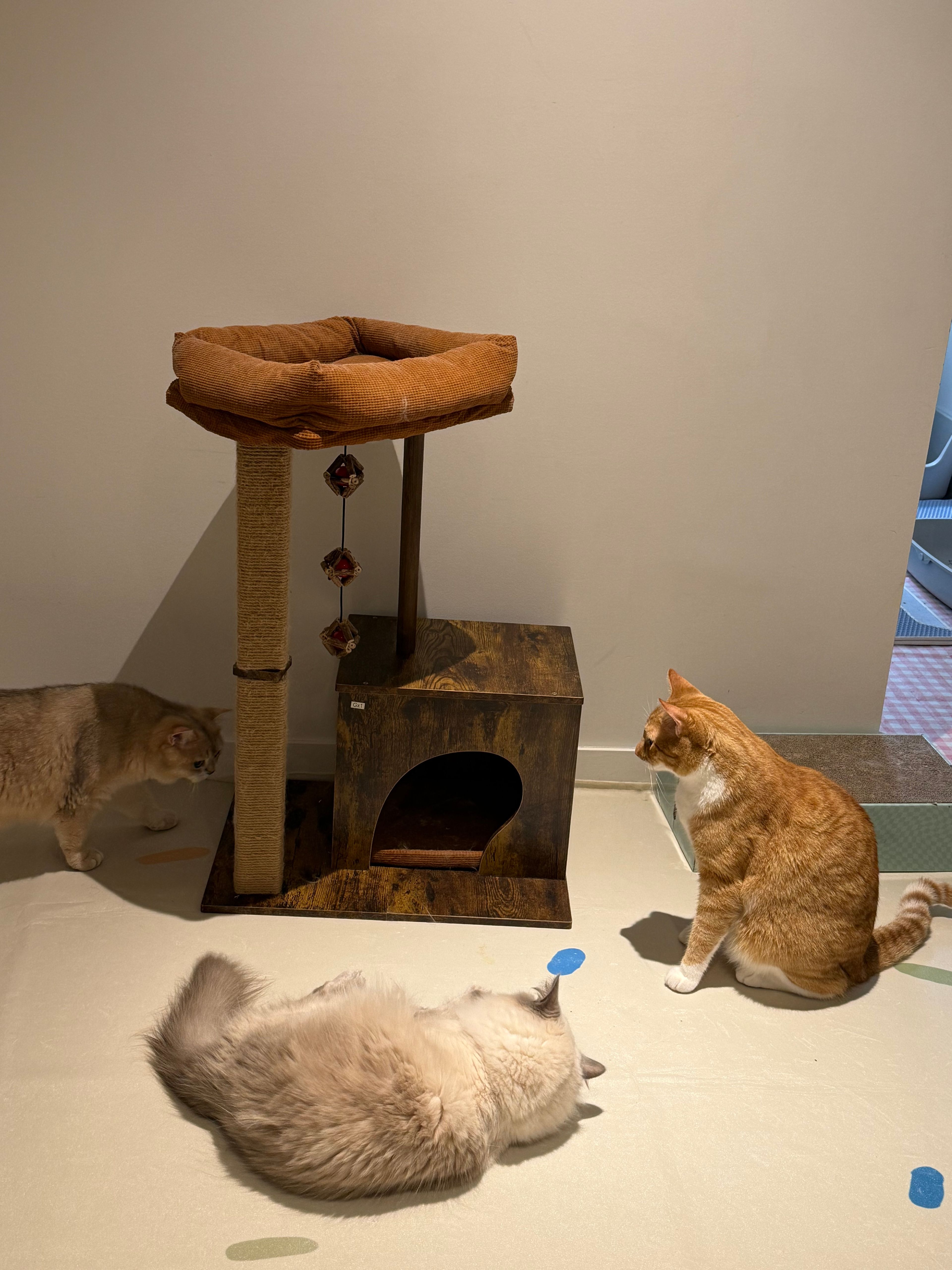 image-15