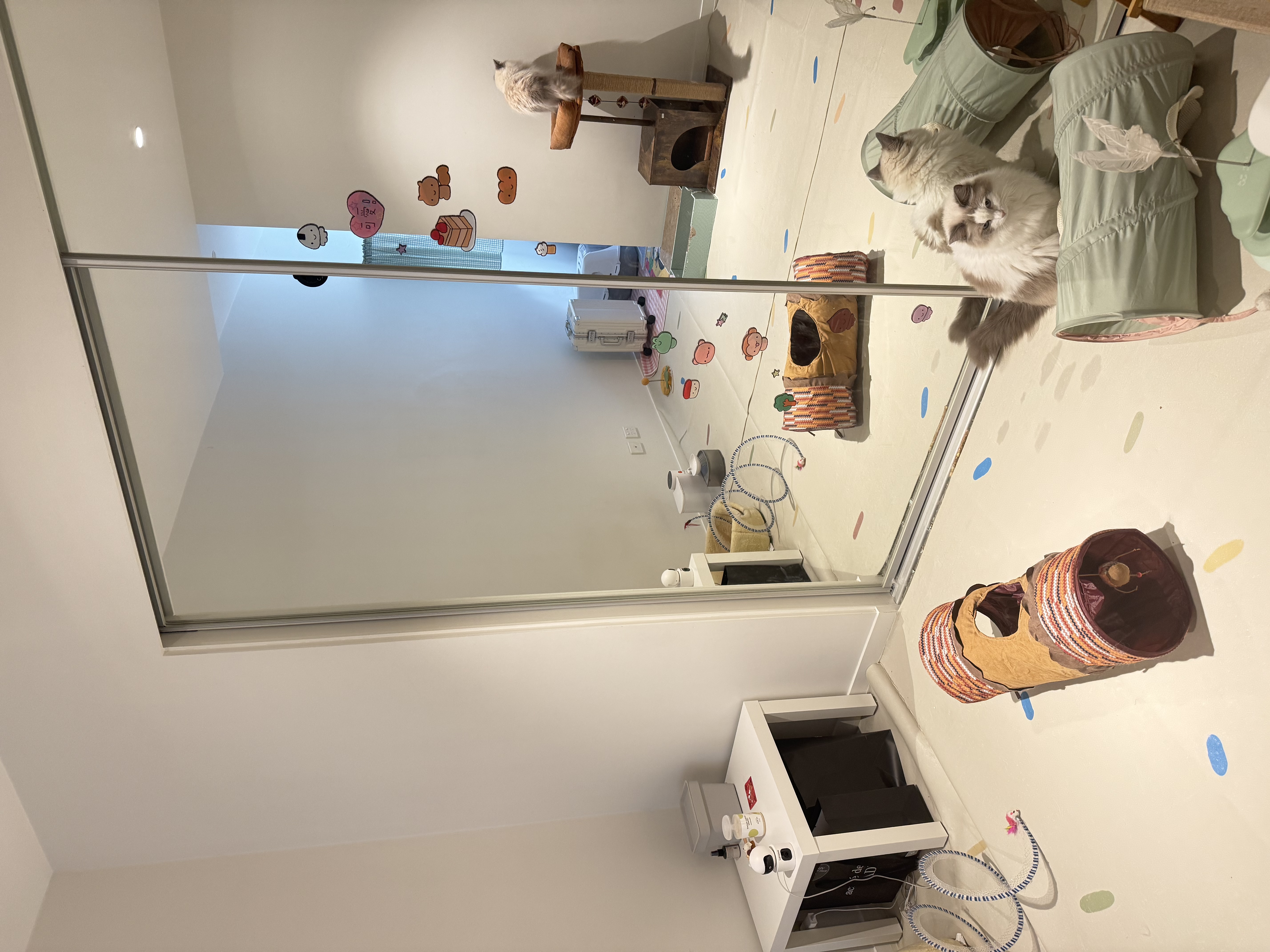 image-3