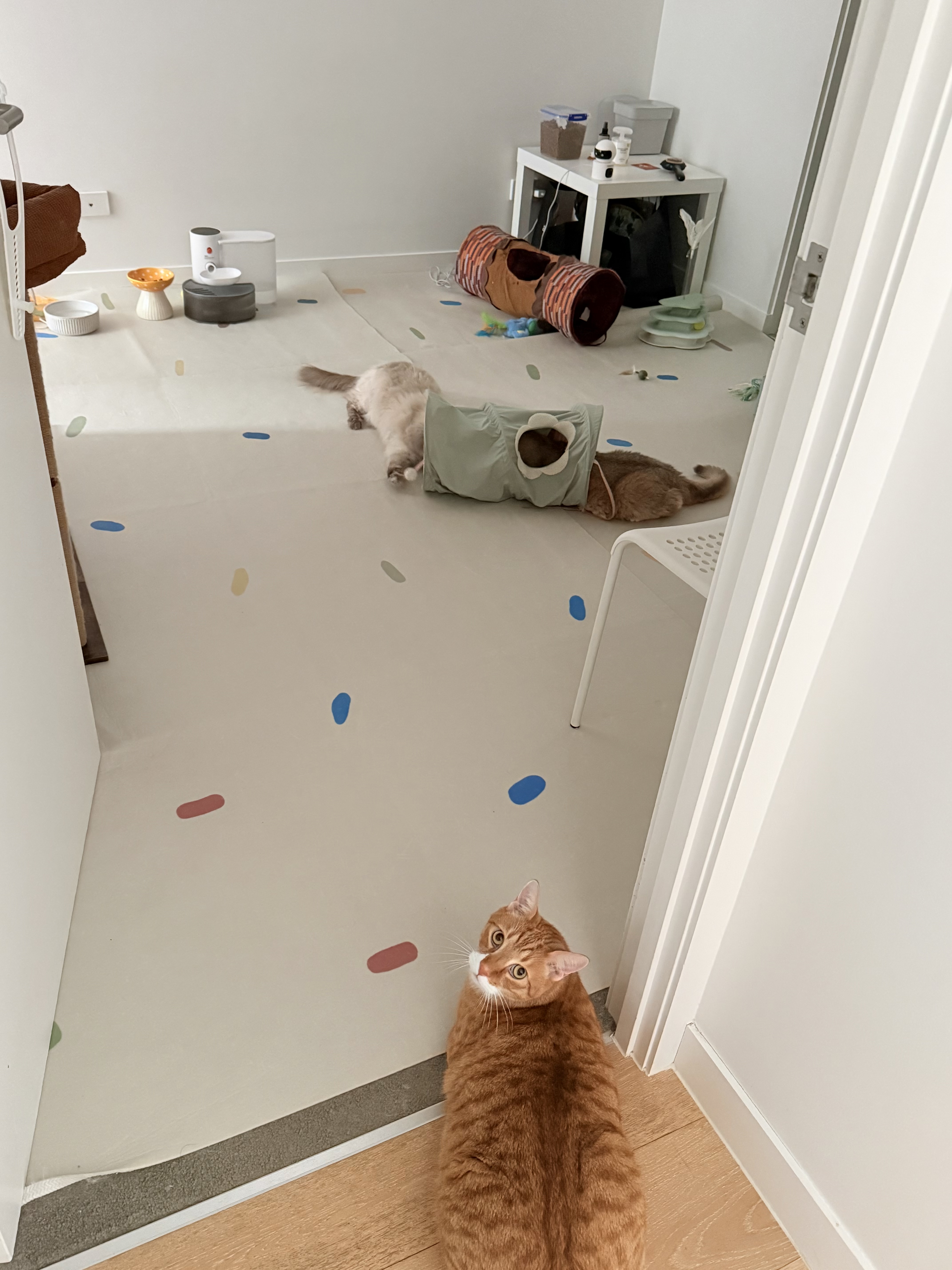 image-17