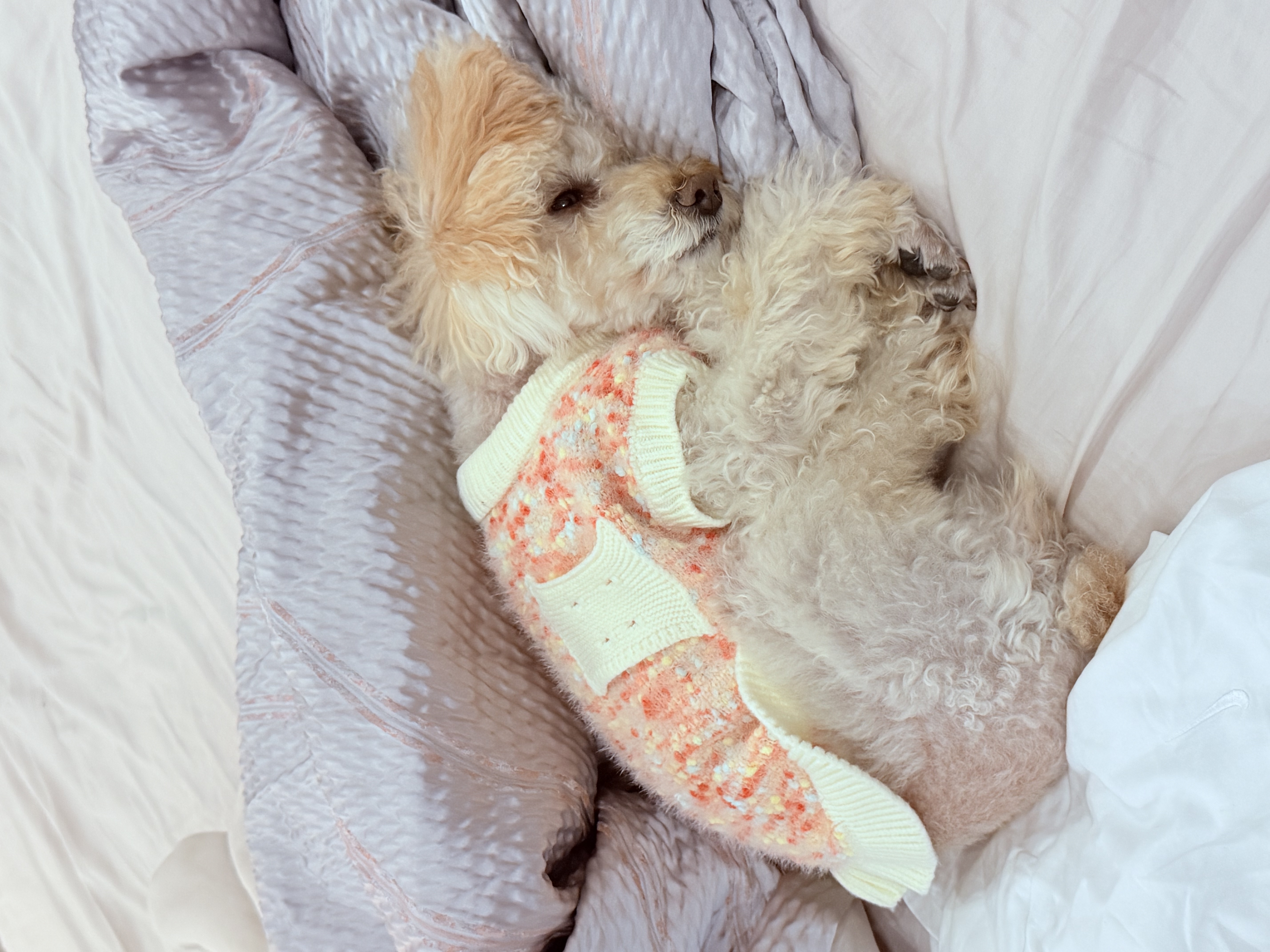image-0