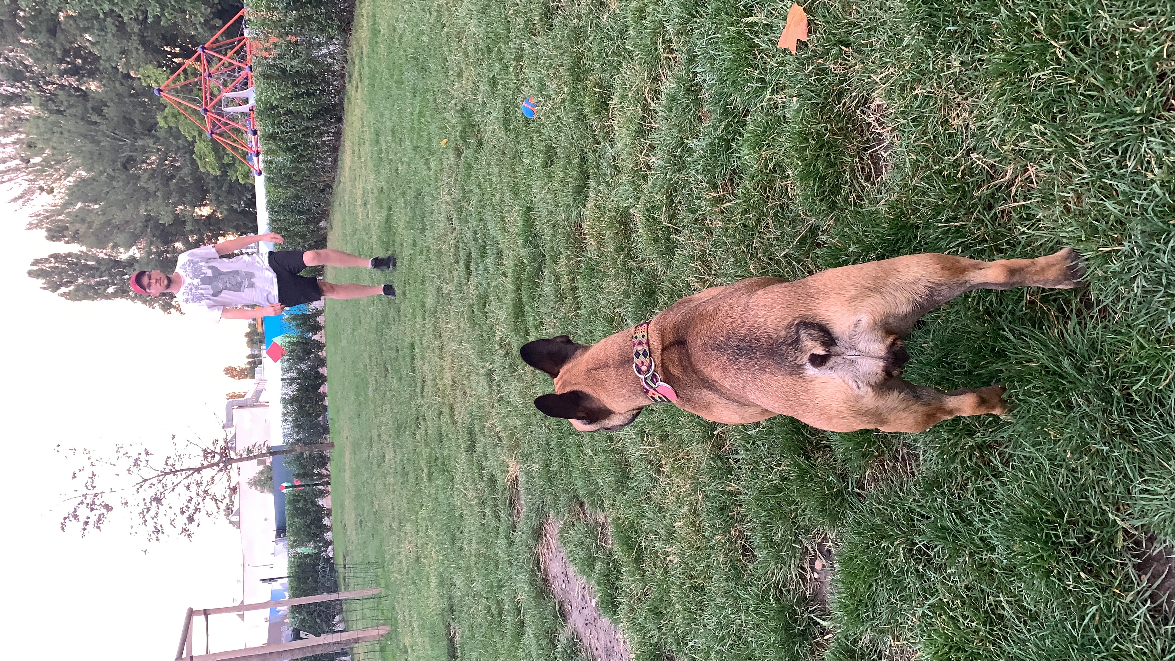 image-11